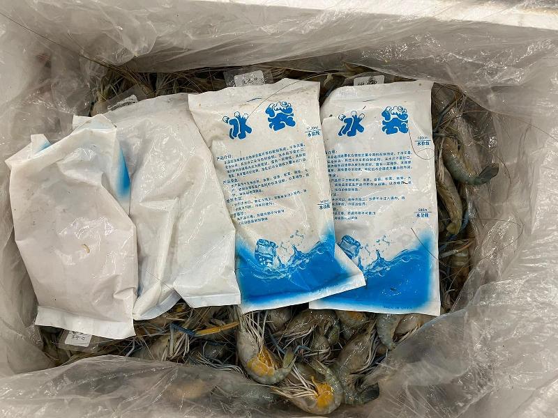 Hong Kong Customs seized about 12 kilograms of suspected liquid methamphetamine with an estimated market value of about $10 million at Hong Kong International Airport yesterday (November 26). Photo shows the concealment method.