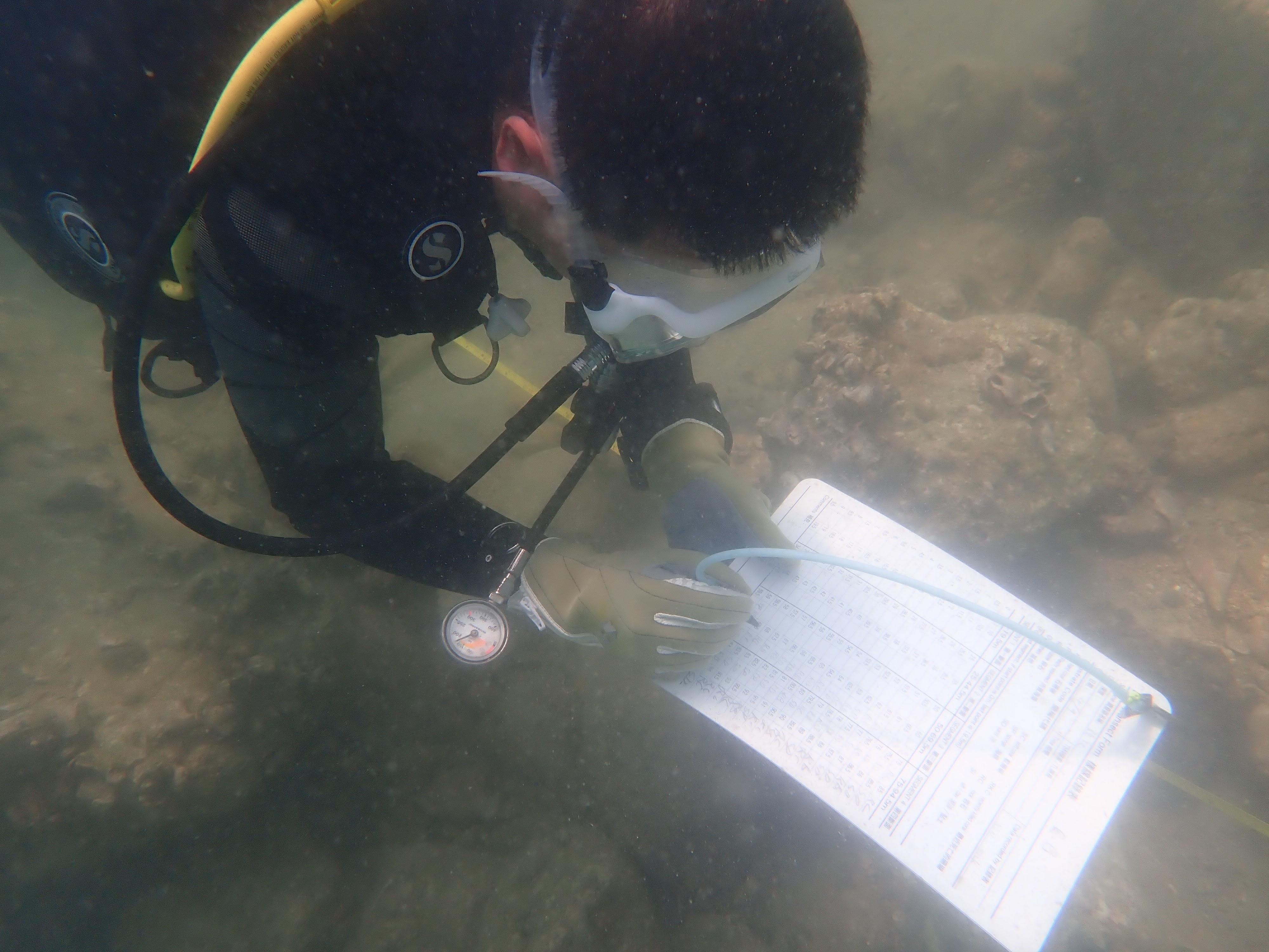 The Agriculture, Fisheries and Conservation Department announced today (December 11) that the Reef Check this year showed that local corals are generally in a healthy and stable condition and that the species diversity remains on the high side. Photo shows a Reef Check diver conducting a coral survey.