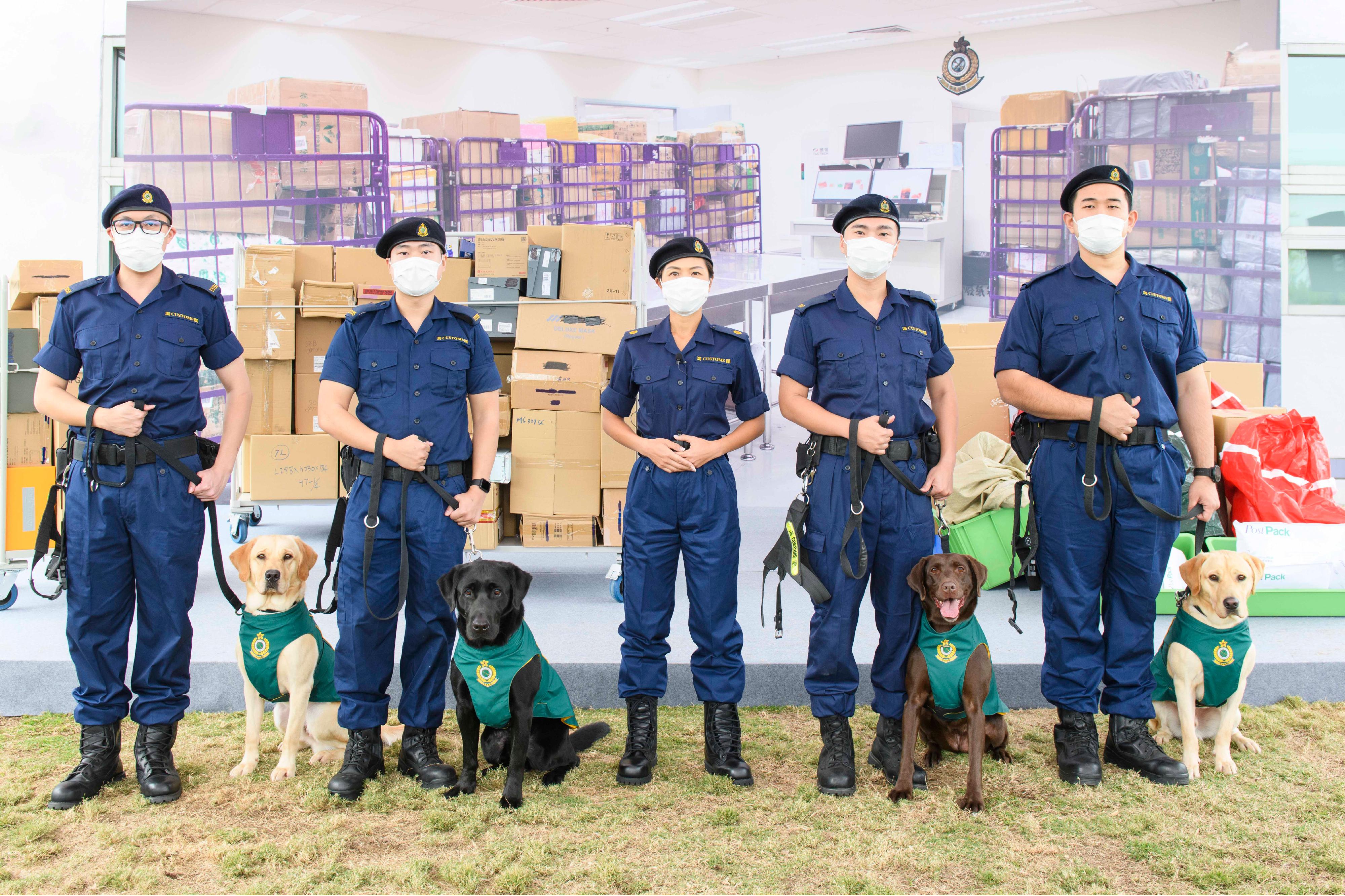 香港海關今日（十二月十五日）公布，正式成立首支槍械搜查犬隊，以進一步加強海關在前線堵截非法槍械、槍械配件和彈藥流入香港的能力，防範恐怖活動，保護市民生命和維護國家安全。圖示海關搜查犬課監督黃惜忻（中）與四隻槍械搜查犬（左起）Nicky、Wrangler、Quick和Gasper及牠們的領犬員合照。