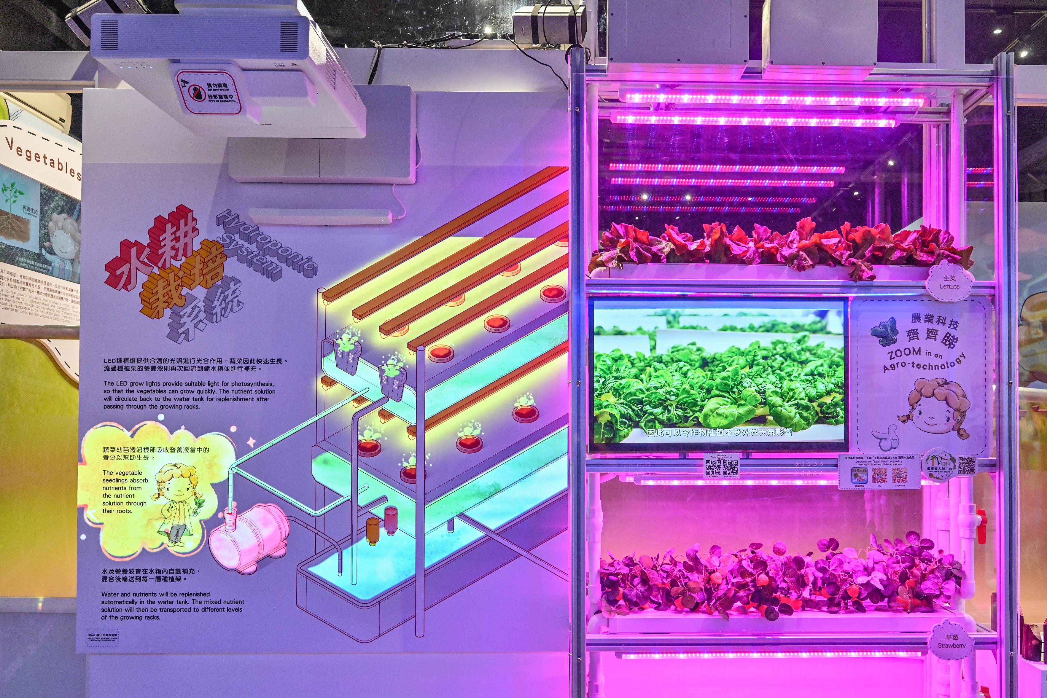 The Agriculture Hall of the Lions Nature Education Centre at Tsiu Hang, Sai Kung, will reopen tomorrow (December 22) upon completion of its revamping. Photo shows exhibits of indoor vertical hydroponic farming.