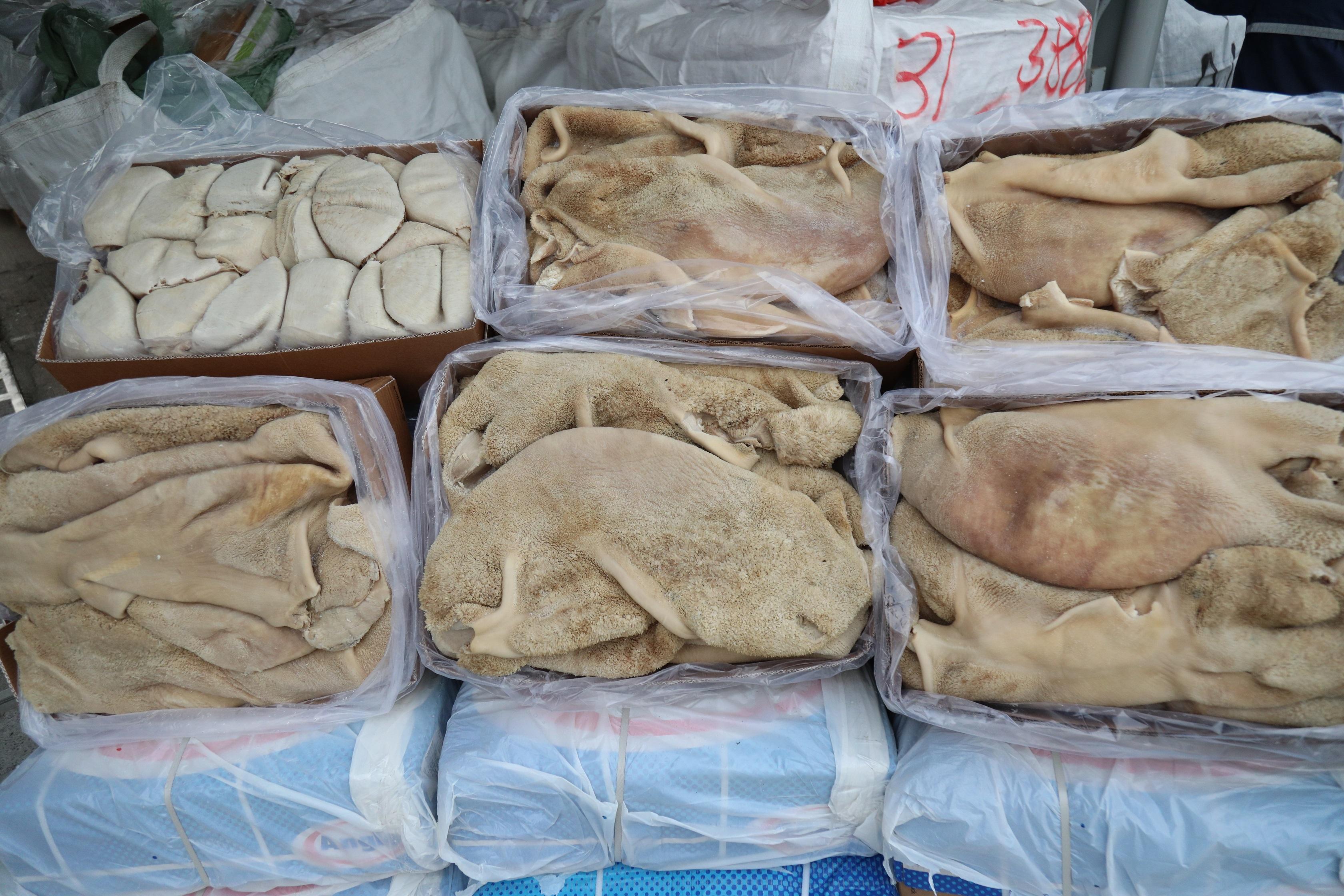 香港海關昨日（一月十三日）在香港西南面水域進行反走私行動，偵破一宗涉嫌利用貨船走私的案件，檢獲約三十五噸懷疑走私凍肉，估計市值約五百二十萬元。圖示部分檢獲的懷疑走私凍肉。
