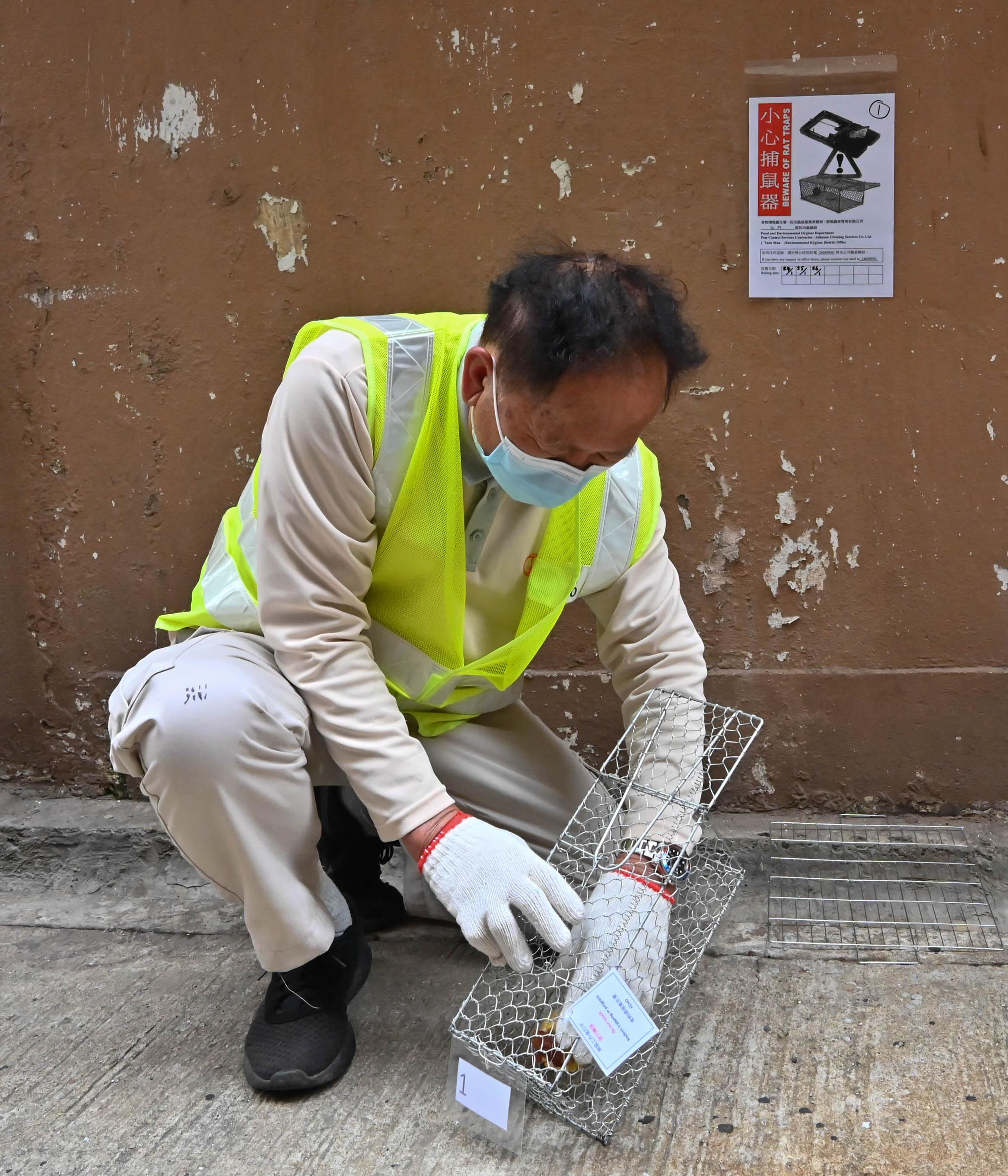 A spokesman for the Food and Environmental Hygiene Department (FEHD) today (January 27) appealed to members of the public to maintain cleanliness in the household, the community and public places during the year end and the Lunar New Year holidays. The FEHD is continuously rolling out the territory-wide anti-rodent campaign this year. Photo shows a service contractor of the FEHD placing a trap in a rear lane to strengthen rodent control.