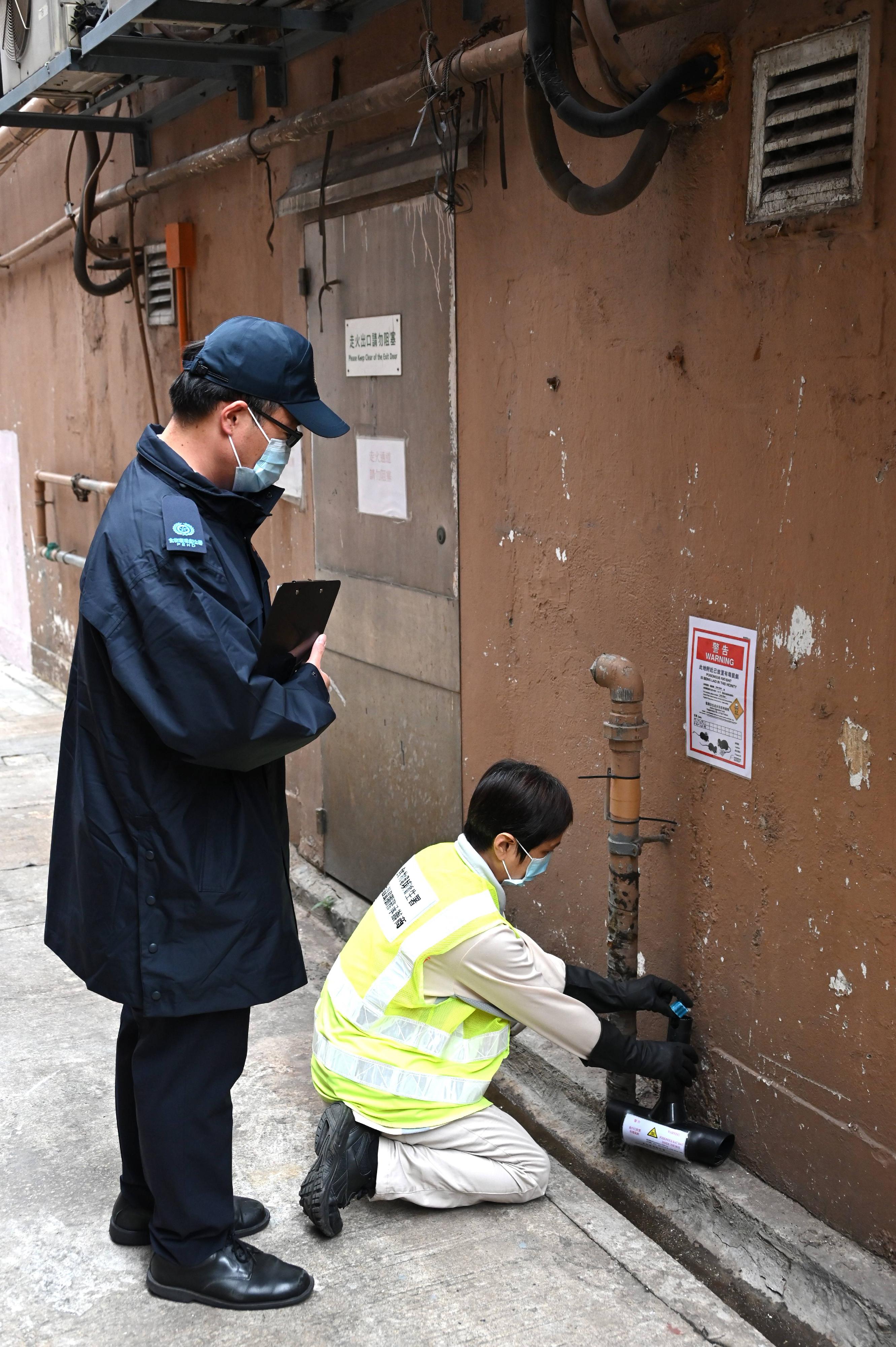 A spokesman for the Food and Environmental Hygiene Department (FEHD) today (January 27) appealed to members of the public to maintain cleanliness in the household, the community and public places during the year end and the Lunar New Year holidays. The FEHD is continuously rolling out the territory-wide anti-rodent campaign this year. Photo shows an FEHD officer and a service contractor of the FEHD placing a bait box in a rear lane to strengthen rodent control.