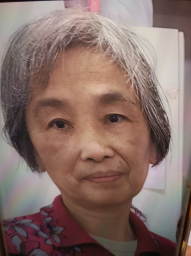 Guan Zhaozhen, aged 69, is about 1.67 metres tall, 60 kilograms in weight and of medium build. She has a square face with yellow complexion and short white hair. She was last seen wearing a grey long-sleeve jacket, blue trousers, white shoes, carrying a yellow bag and holding a light blue umbrella.
