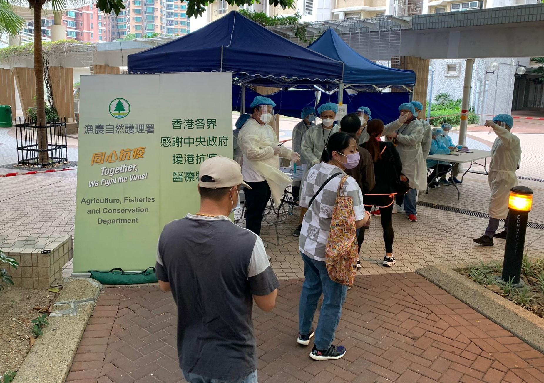 The Government yesterday (April 17) enforced "restriction-testing declaration" and compulsory testing notice in respect of specified "restricted area" in Ching Yun House, Ching Ho Estate, Sheung Shui. Photo shows staff members of the Agriculture, Fisheries and Conservation Department removing the wristbands for persons who can leave the "restricted area".

