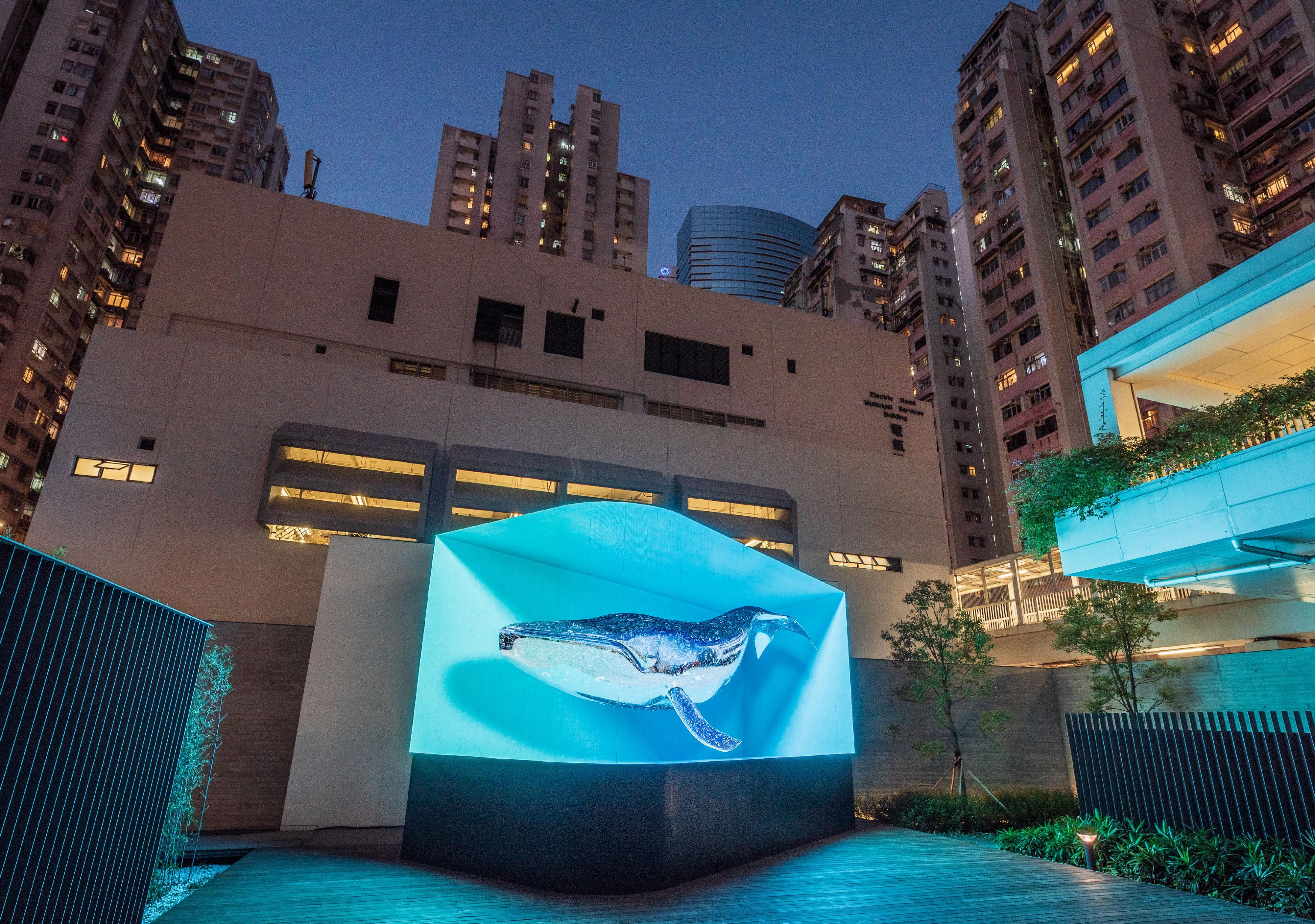 油街實現的全新藝術空間明日（五月二十四日）起向公眾開放。圖示於「新域混影」展覽中展出，韓國藝術團隊d'strict的立體數碼藝術作品《鯨魚》，為觀眾帶來沉浸式的大自然景觀。
