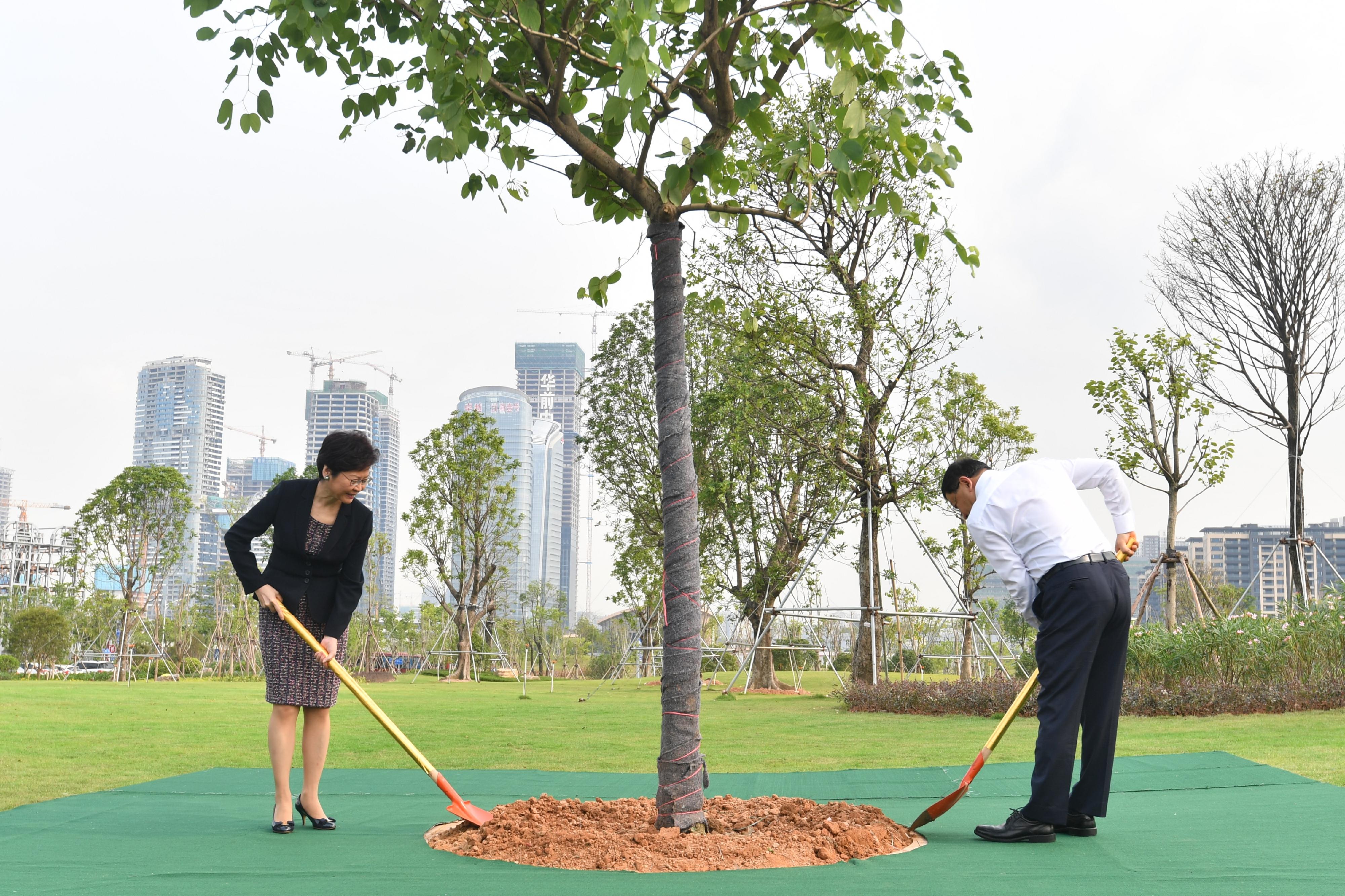 The Chief Executive, Mrs Carrie Lam, and the then Secretary of the CPC Shenzhen Municipal Committee, Mr Wang Weizhong, planted trees together at Qianhai Bauhinia Park in Shenzhen on August 31, 2017.