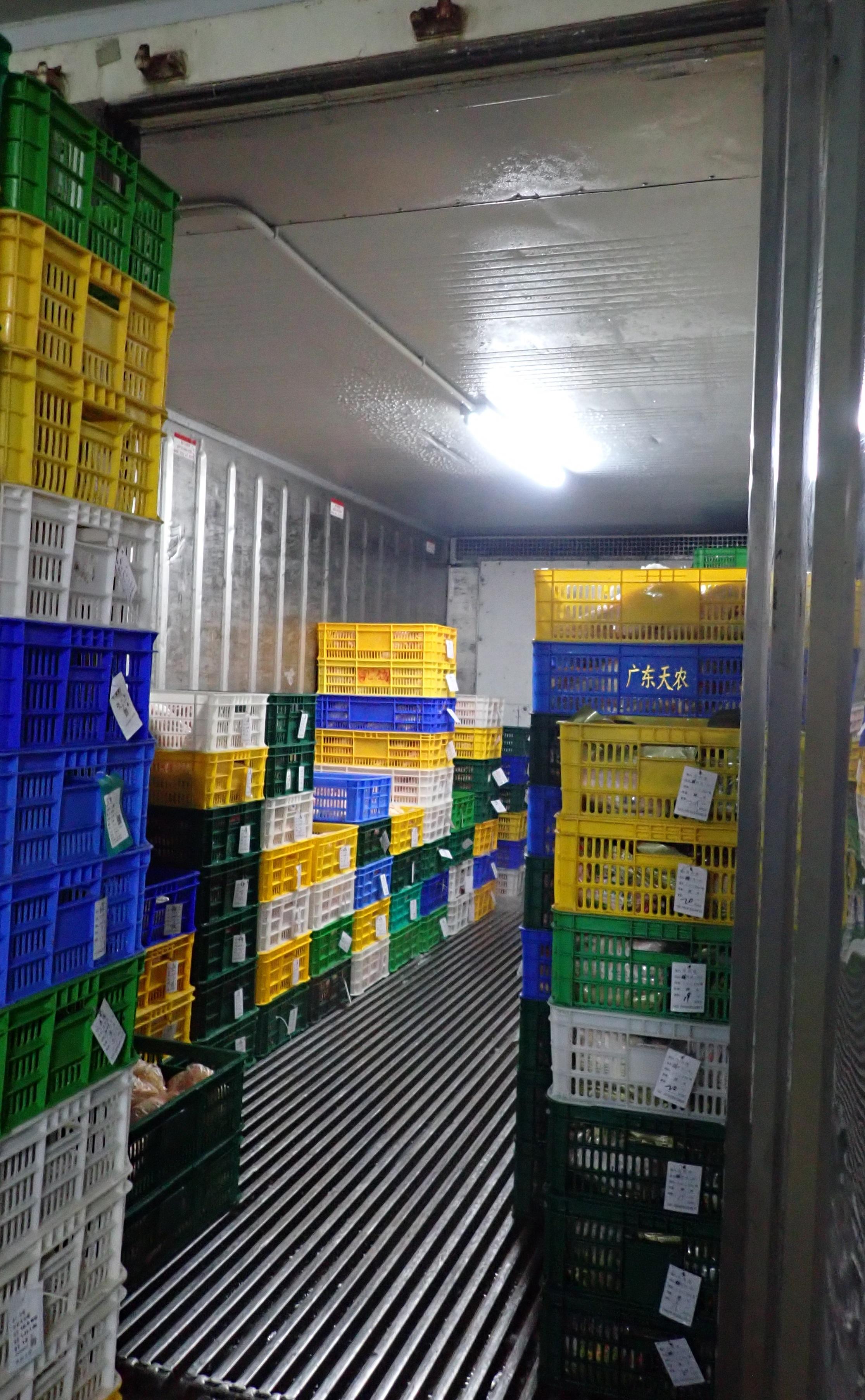 The Food and Environmental Hygiene Department today (June 30) raided an unlicensed cold store in Ping Che, North District. 
