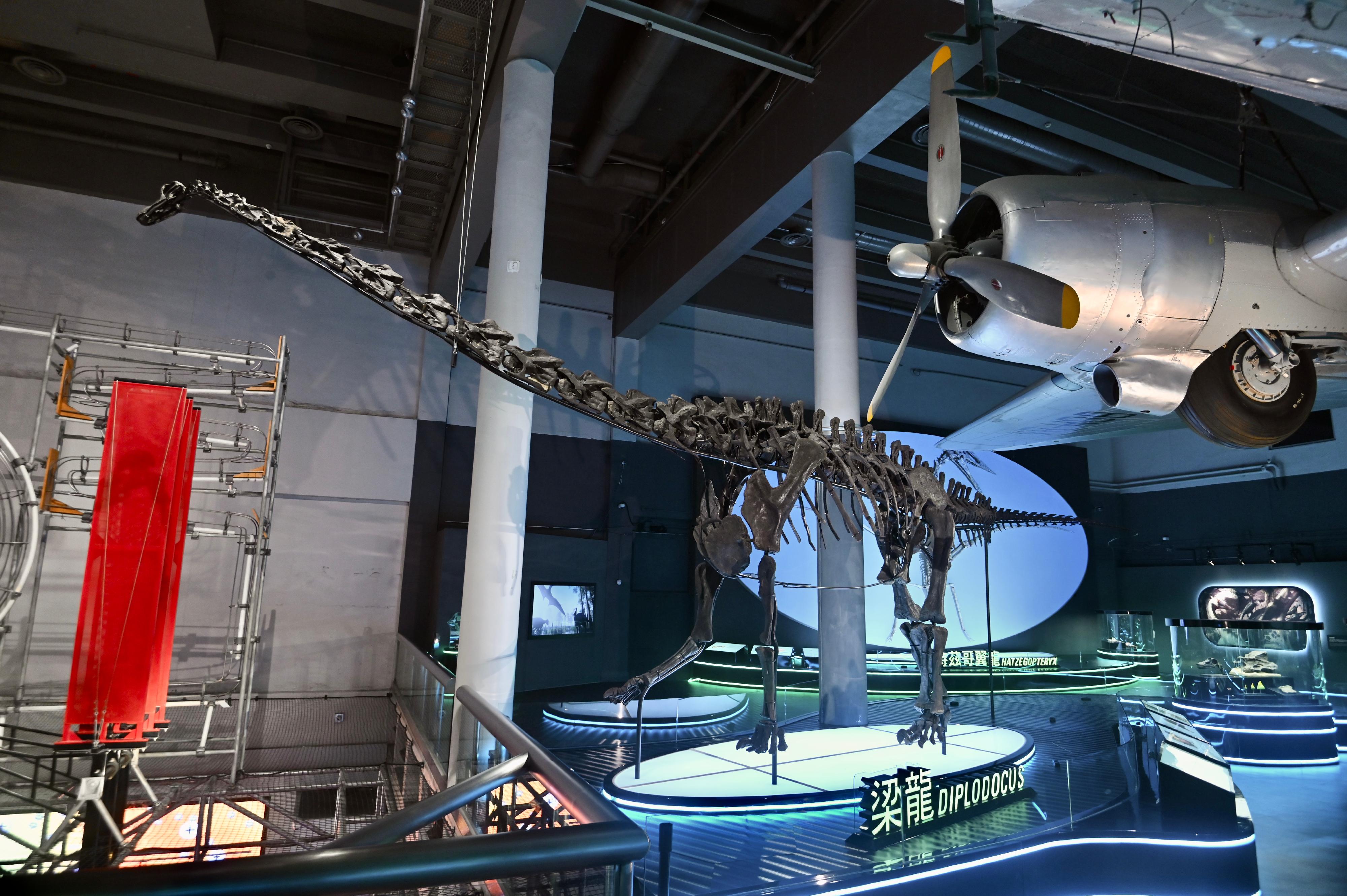 The Hong Kong Science Museum will stage a large-scale dinosaur exhibition, "The Hong Kong Jockey Club Series: The Big Eight - Dinosaur Revelation", from July 8 (Friday). Picture shows the skeleton of Diplodocus, which is exclusively mounted for this exhibition.