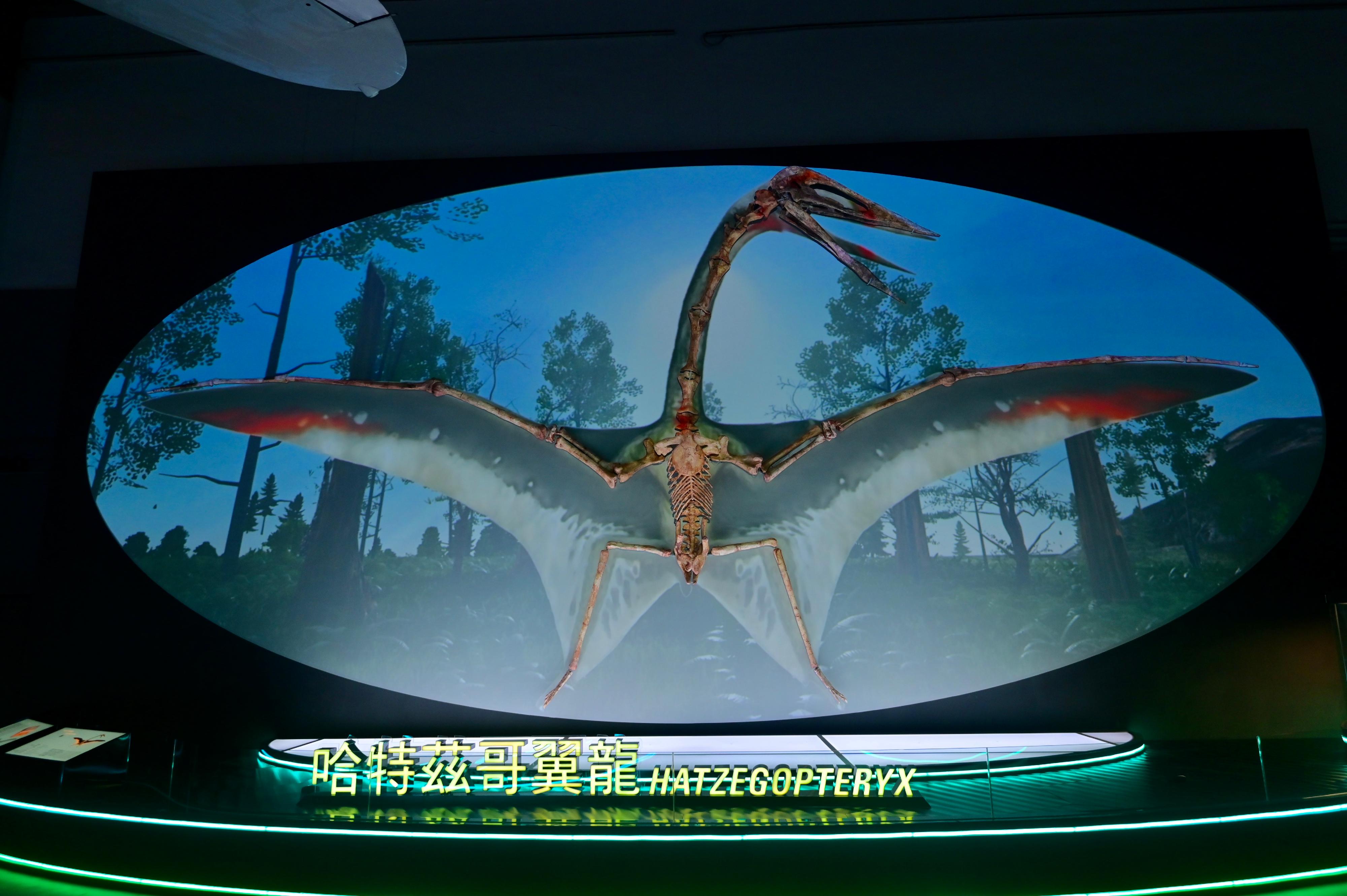 香港科學館七月八日（星期五）起舉行大型恐龍展覽「香港賽馬會呈獻系列：八大．尋龍記」。圖示哈特茲哥翼龍的一比一復原骨架模型，館方特別應用光雕投影技術，重構翼龍的原貌。
