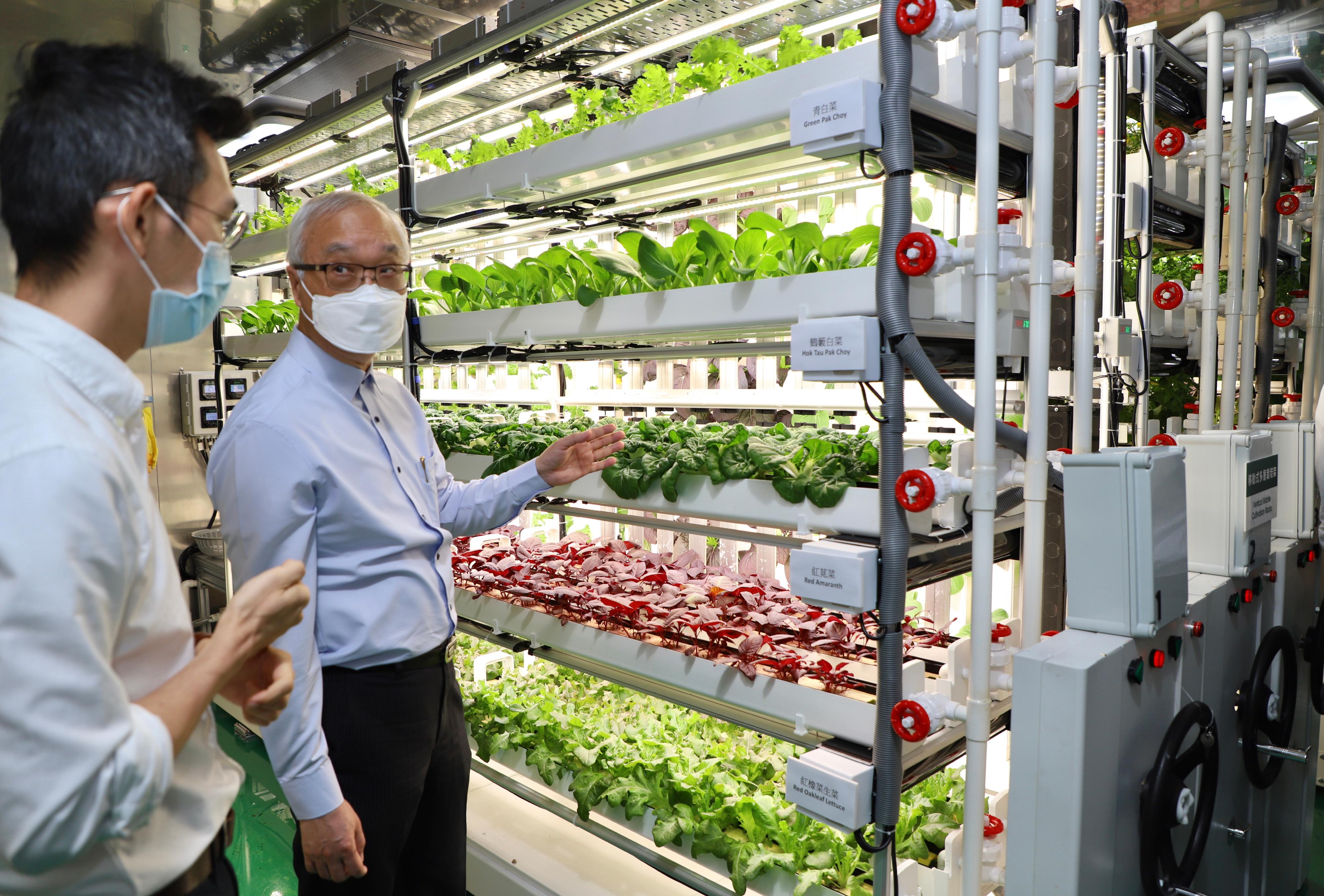 環境及生態局局長謝展寰（右）今日（七月二十二日）到訪蔬菜統營處及全環控水耕研發中心，了解該中心為本地農業引入現代化生產方法。