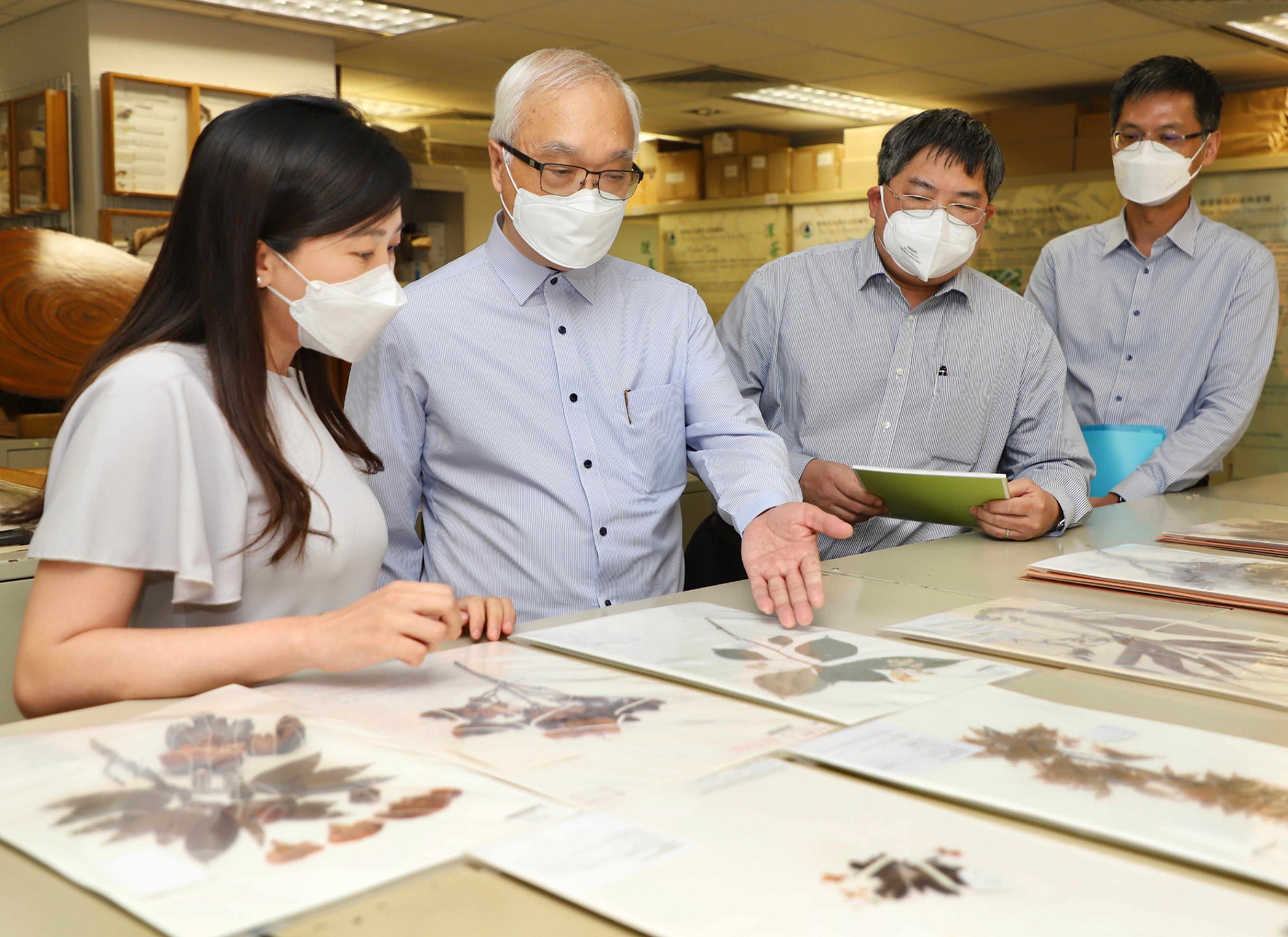 The Secretary for Environment and Ecology, Mr Tse Chin-wan (second left), accompanied by the Director of Agriculture, Fisheries and Conservation, Dr Leung Siu-fai (second right), today (July 22) visits the Hong Kong Herbarium and is briefed on the Agriculture, Fisheries and Conservation Department's work regarding the collection, identification and curation of specimens representative of Hong Kong flora.