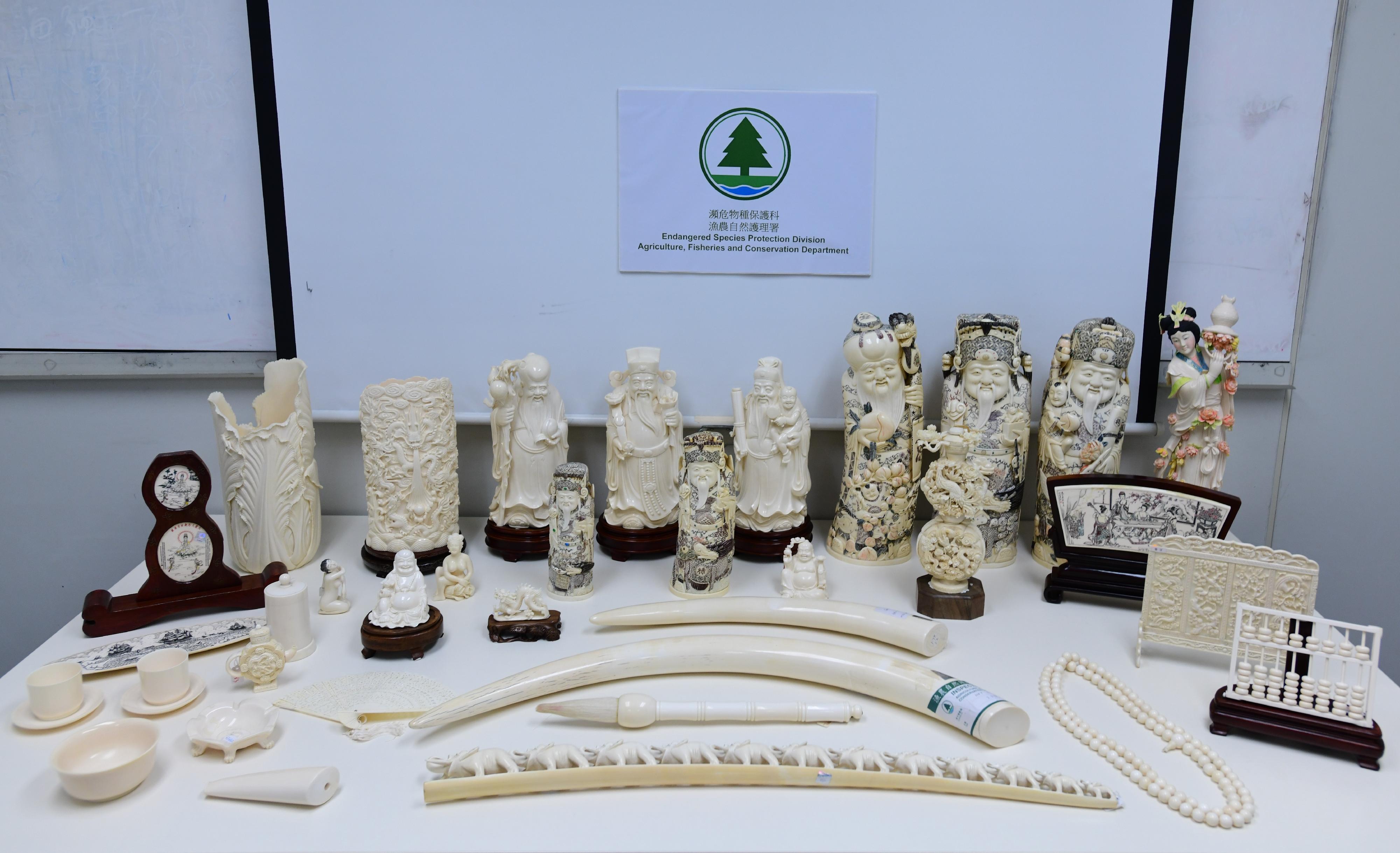 The Agriculture, Fisheries and Conservation Department yesterday (July 27) seized a total of 284 pieces of suspected elephant ivory products from a shop in Yau Tsim Mong District. Photo shows some of the suspected elephant ivory products seized.