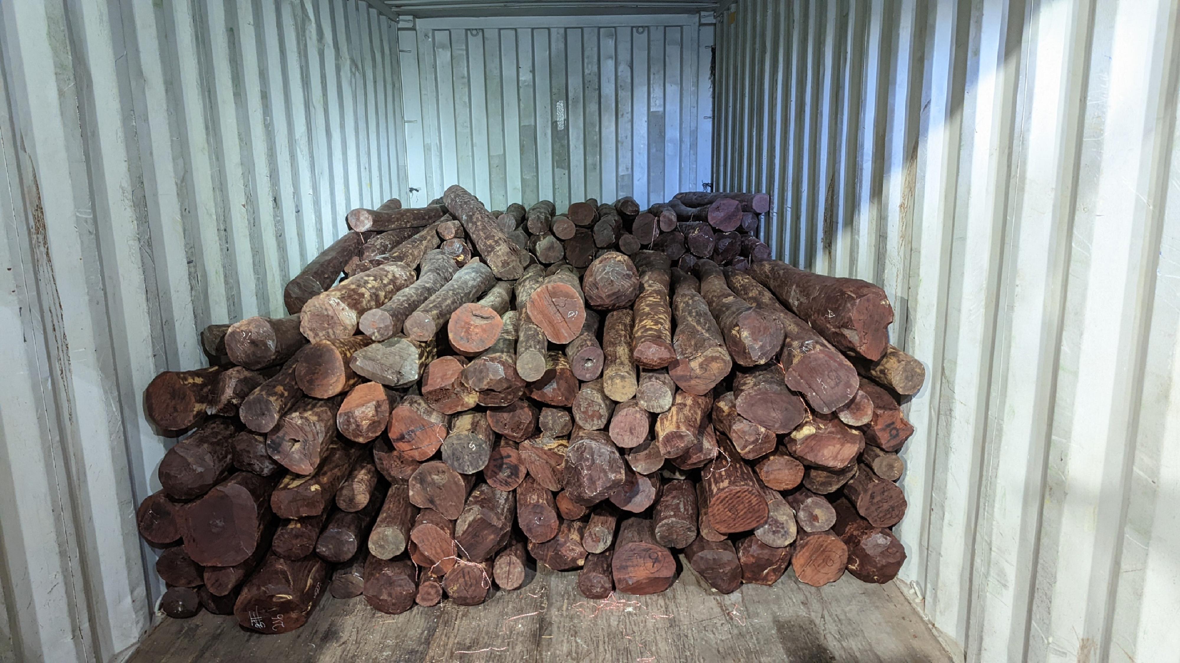 香港海關昨日（九月五日）在葵涌貨櫃碼頭檢獲約六千五百公斤懷疑受管制紫檀木材，估計市值約四百一十萬元。圖示檢獲的懷疑受管制紫檀木材。
