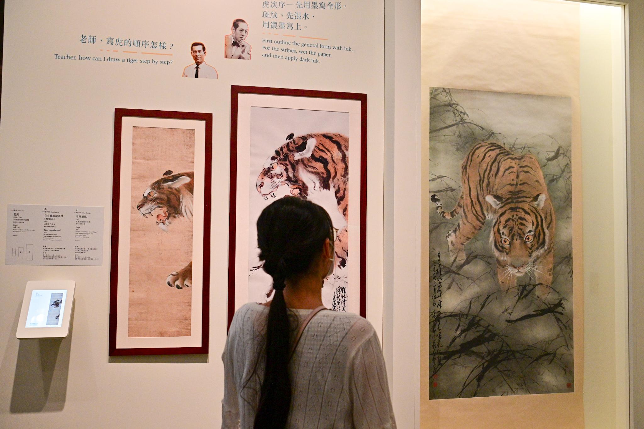香港文化博物館明日（九月二十一日）起舉行「千里覓藝—趙少昂與陳崎師生對話」展覽。圖示趙少昂與陳崎關於老虎的畫作。左起：陳崎作品《老虎》、趙少昂作品《自有雄風藏草澤》（複製品）及趙少昂作品《草澤雄風》。