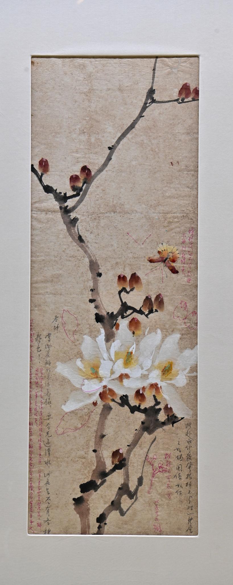 The exhibition "From a Distance: Art Dialogues between Chao Shao-an and Chin Kee" will be open to the public from tomorrow (September 21) at the Hong Kong Heritage Museum. Picture shows Chin Kee's painting assignment "Magnolia and butterfly", with questions and answers between Chao Shao-an and Chin and demonstration drafts. 