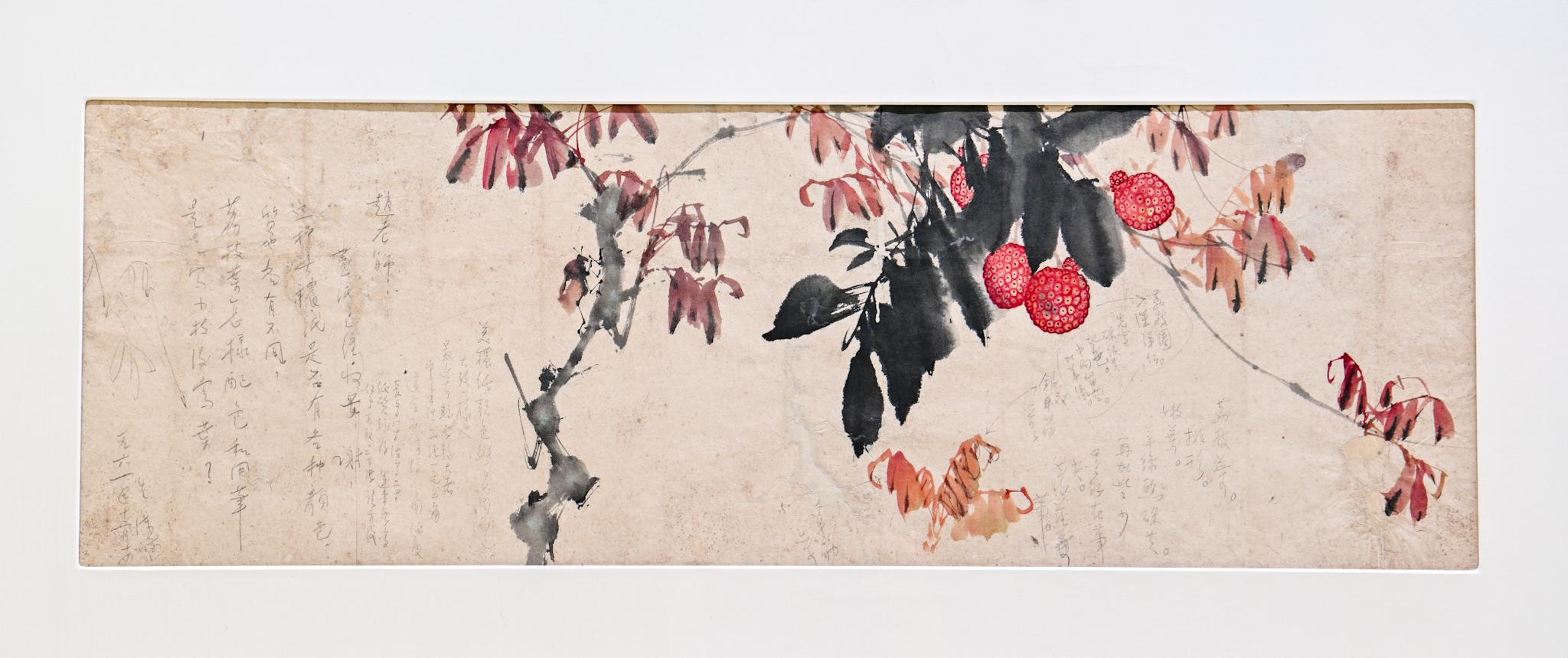 The exhibition "From a Distance: Art Dialogues between Chao Shao-an and Chin Kee" will be open to the public from tomorrow (September 21) at the Hong Kong Heritage Museum. Picture shows Chin Kee's painting assignment "Lychee", with questions and answers between Chao Shao-an and Chin.