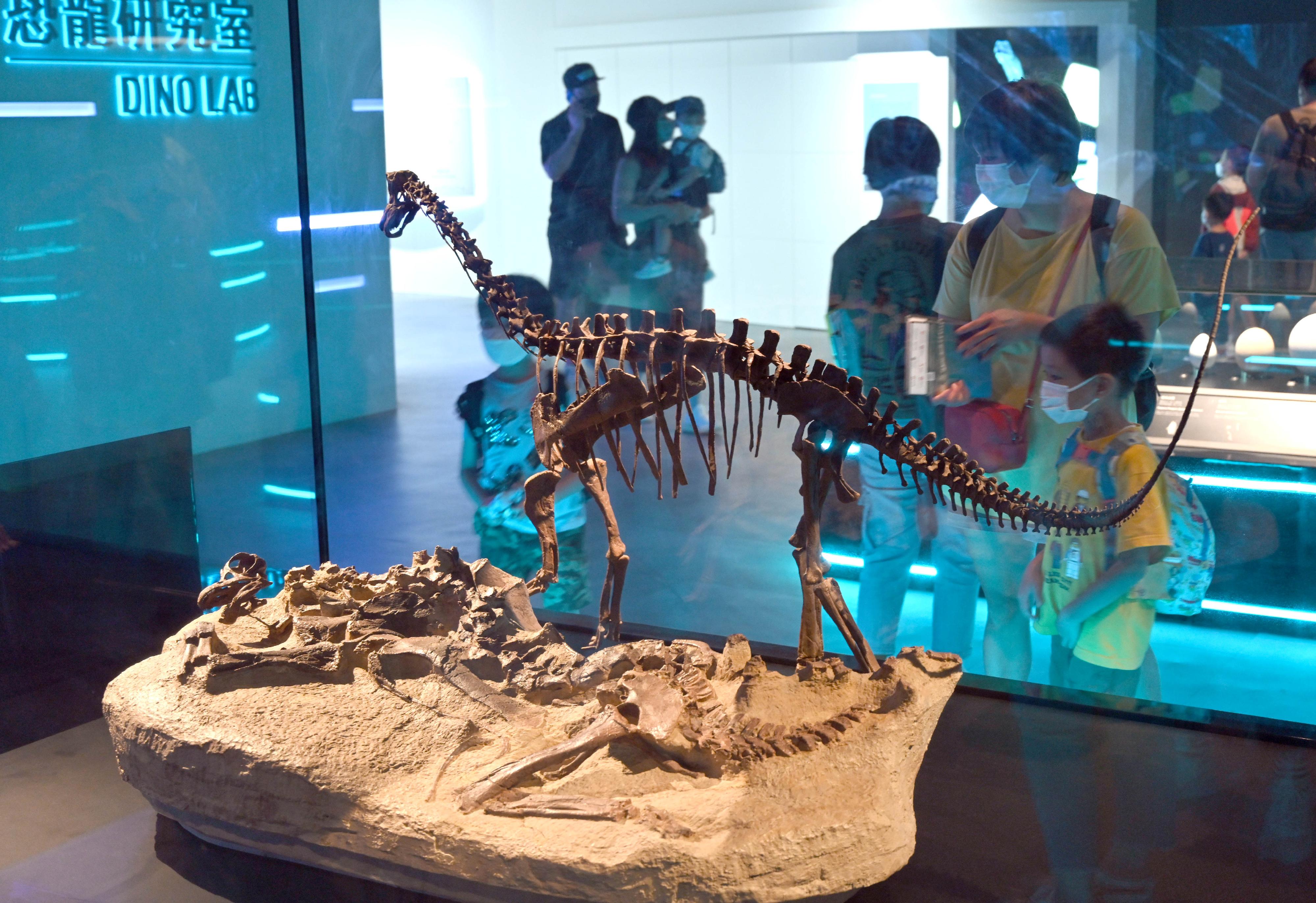 The Hong Kong Science Museum's free large-scale dinosaur exhibition, "The Hong Kong Jockey Club Series: The Big Eight - Dinosaur Revelation" has received an overwhelming public response since its opening in July. Picture shows visitors viewing the baby Sauropod fossil display in the exhibition gallery. 