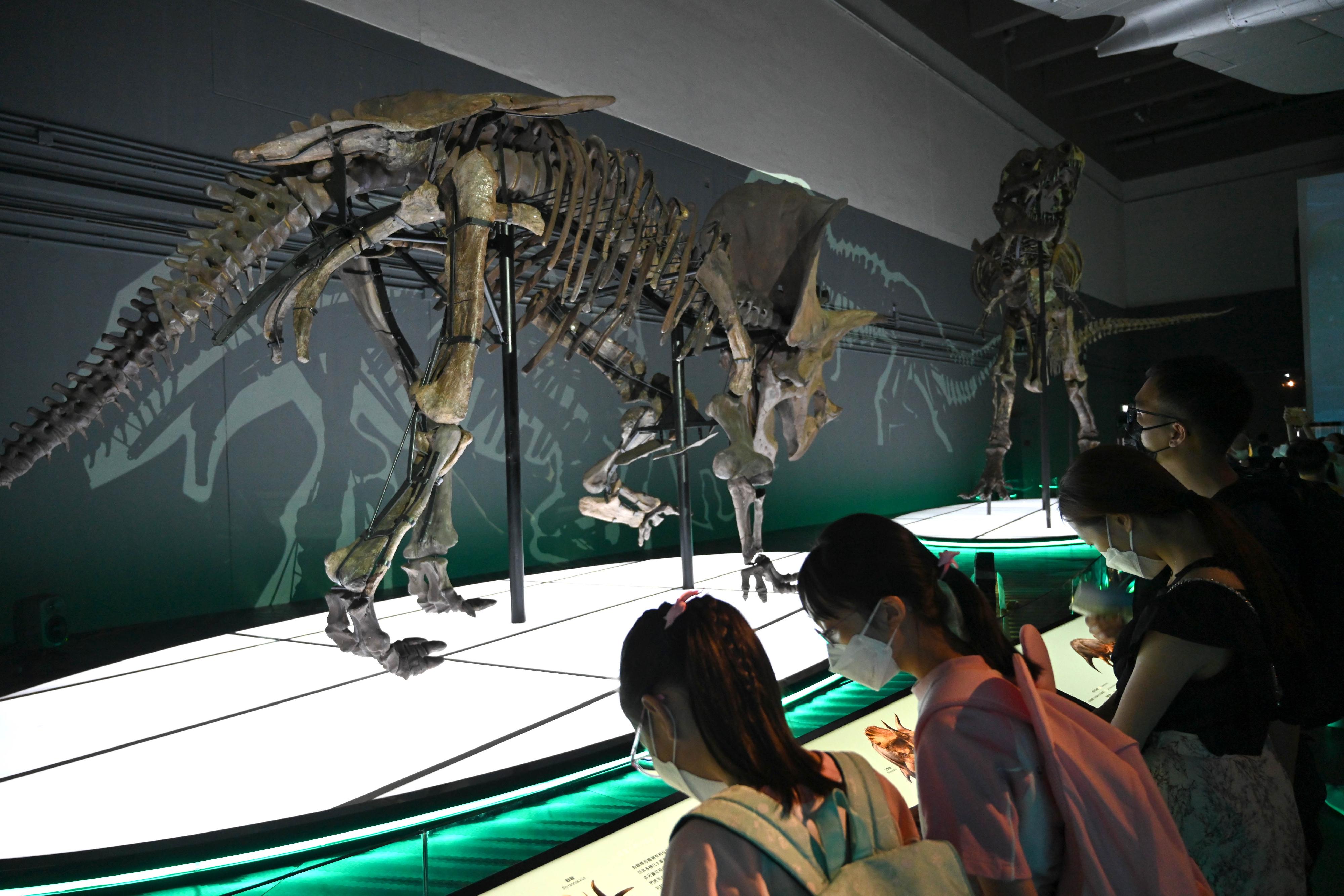 The Hong Kong Science Museum's free large-scale dinosaur exhibition, "The Hong Kong Jockey Club Series: The Big Eight - Dinosaur Revelation" has received an overwhelming public response since its opening in July. Picture shows visitors viewing the skeleton of an enormous Triceratops.