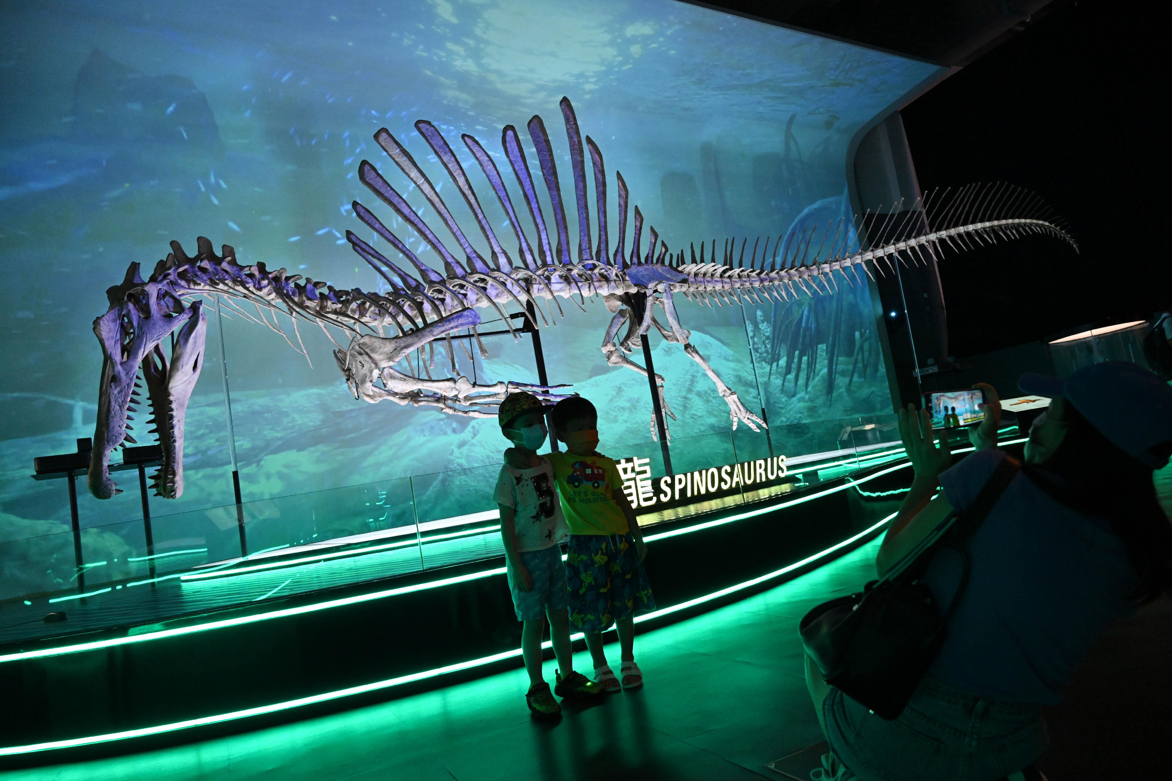 香港科學館的免費大型恐龍展覽「香港賽馬會呈獻系列：八大‧尋龍記」，自七月開展以來深受市民歡迎。圖示參觀者在展覽廳內的一比一復原棘龍骨架模型前拍照留念。