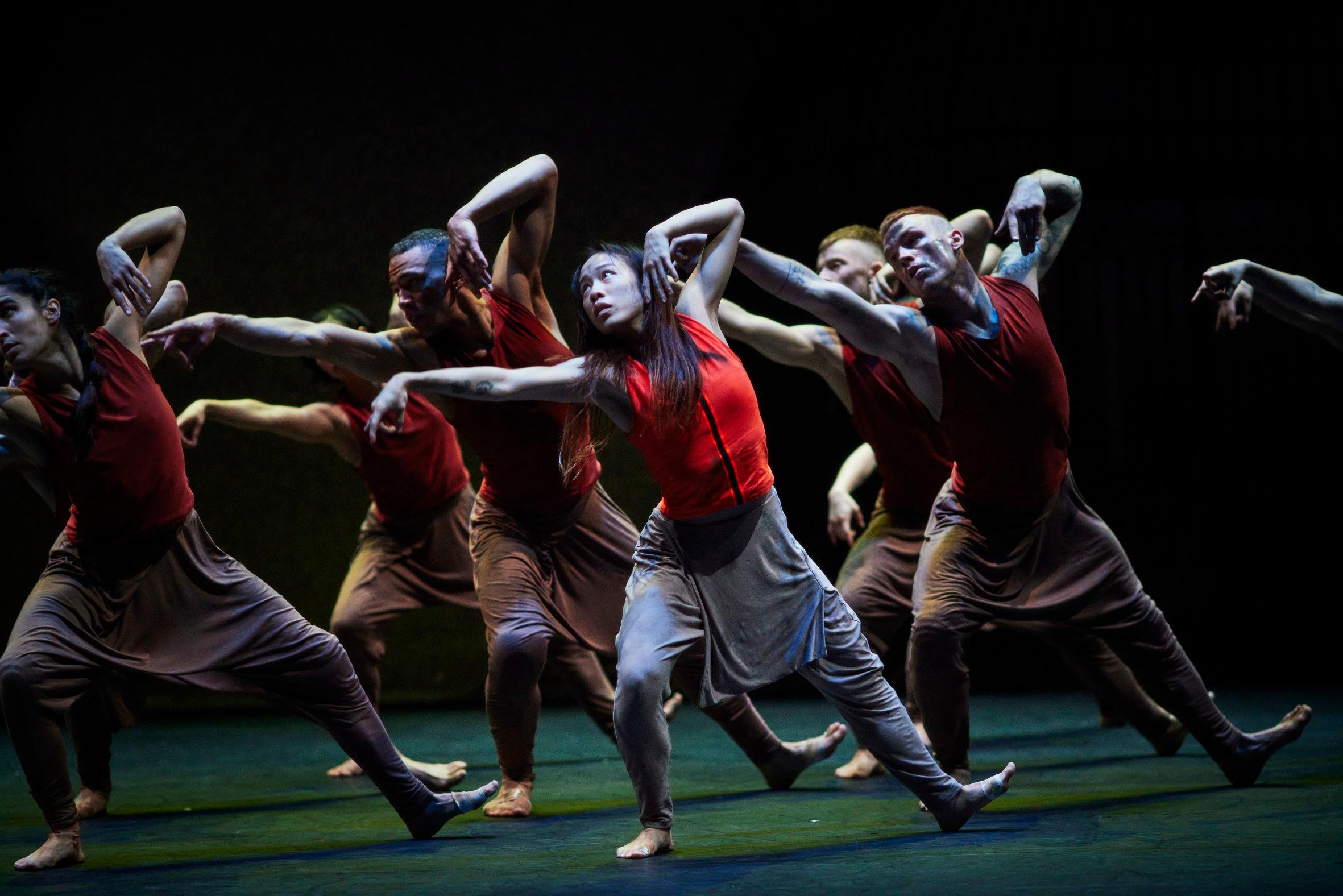 「新视野艺术节」呈献顶尖舞蹈节目《丛林奇谭》再造版，将于十一月十一日及十二日在香港文化中心大剧院上演。舞者以舞蹈方式叙事，让观众反思大自然于气候变化的反噬，掷地有声。（图片来源：Ambra Vernuccio）
