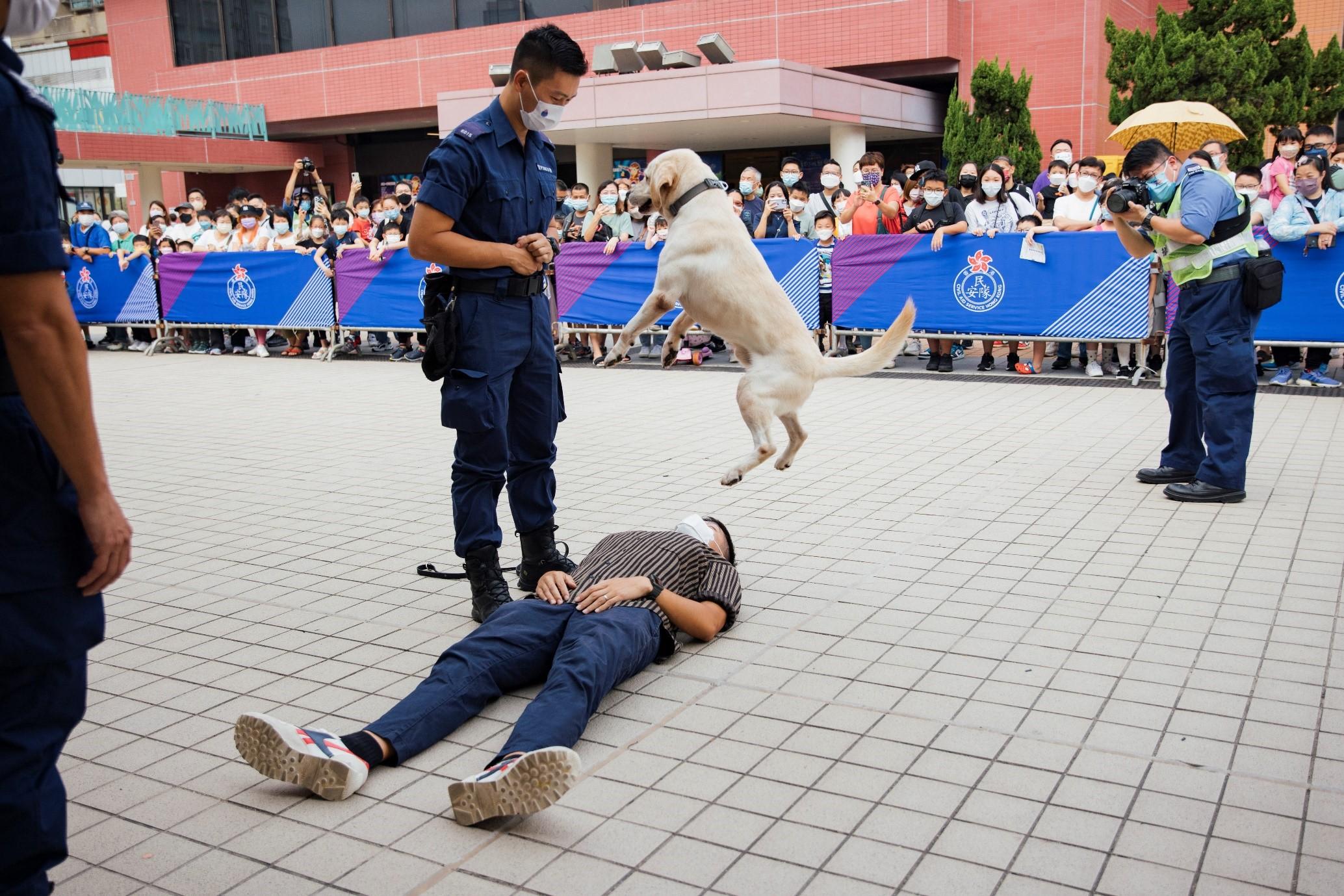 The Civil Aid Service held the 25th Anniversary of the Establishment of HKSAR cum Mountain Safety Promotion Day with various government departments and mountaineering organisations today (October 23) at Tuen Mun Cultural Square.  Photo shows police dogs performing.