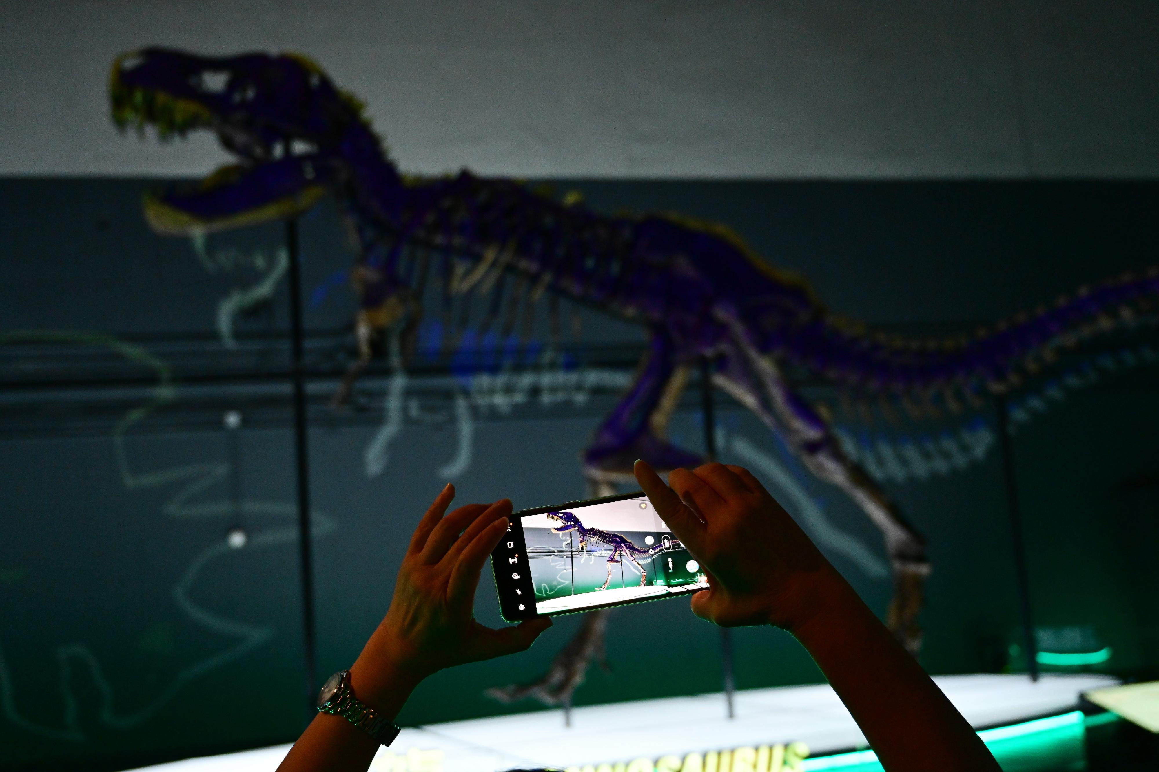 香港科學館舉辦的免費大型恐龍展覽「香港賽馬會呈獻系列：八大‧尋龍記」開展至今深受市民歡迎。香港科學館將延長展期至明年二月二十二日。圖示參觀者拍攝展覽廳內極受歡迎的暴龍化石骨架。