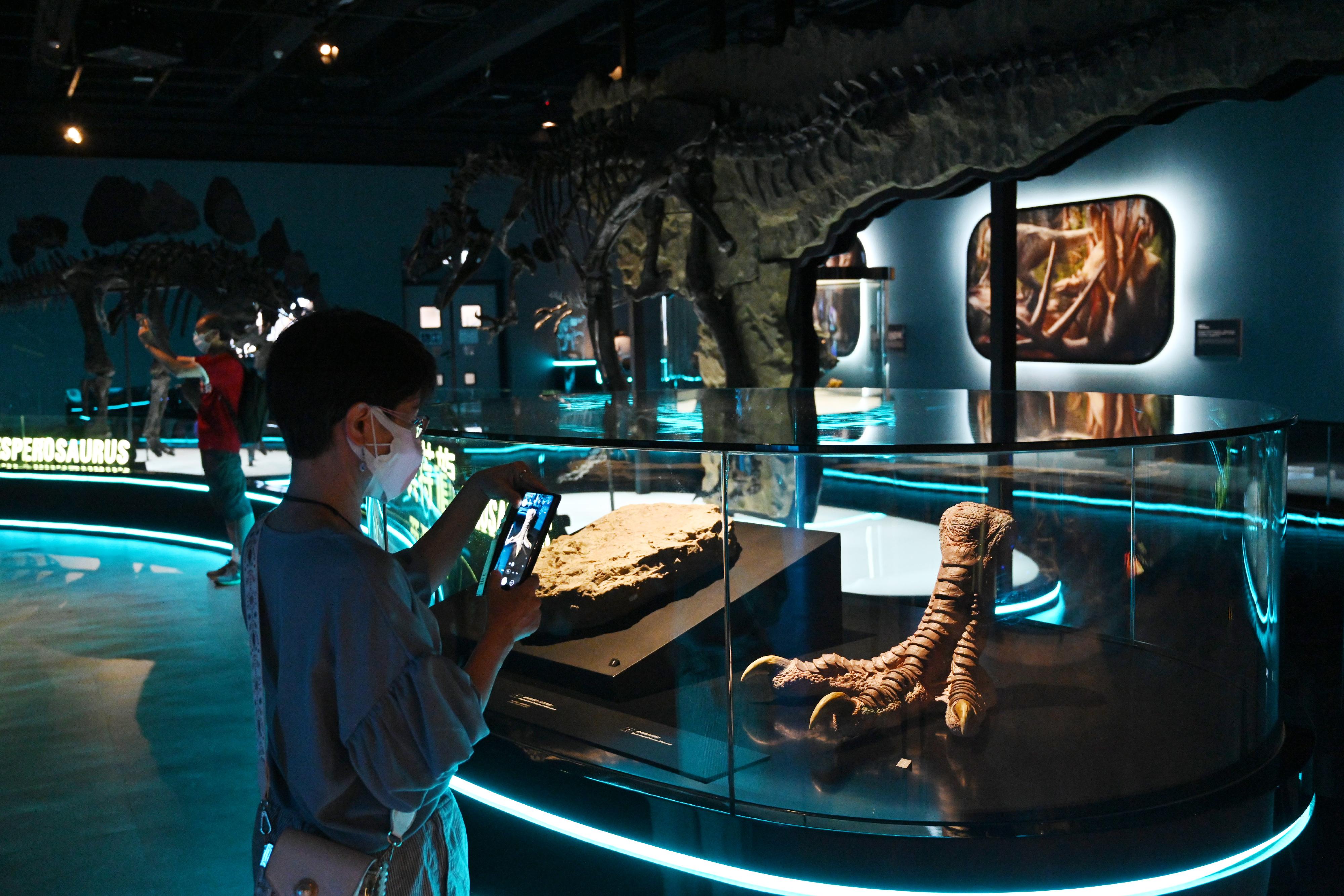 The free large-scale dinosaur exhibition "The Hong Kong Jockey Club Series: The Big Eight - Dinosaur Revelation" organised by the Hong Kong Science Museum has been receiving an overwhelming response from the public since its opening. The museum will extend the exhibition period to February 22, 2023. Picture shows a visitor viewing the reconstructed foot of an allosaurus in the exhibition gallery.