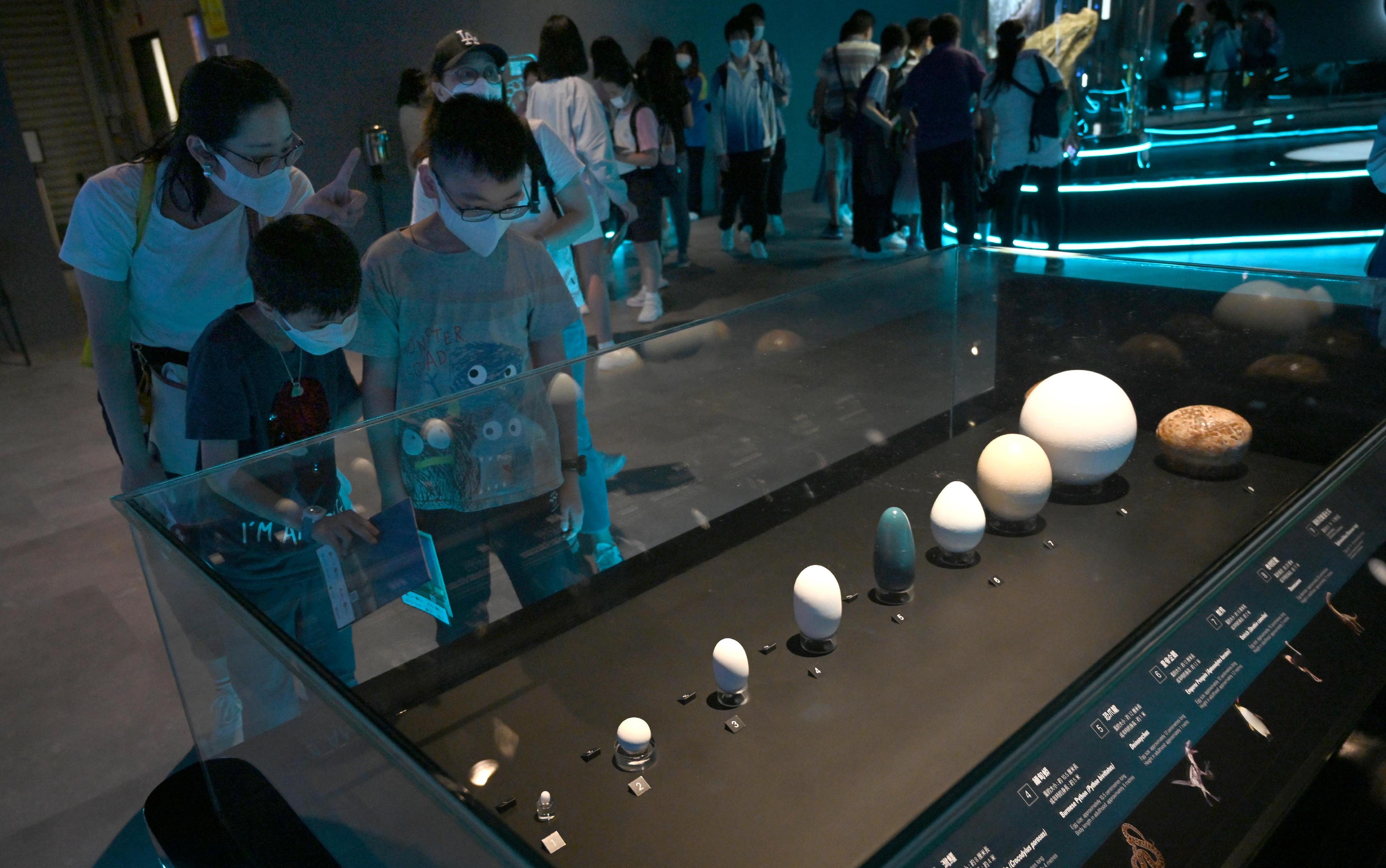 The free large-scale dinosaur exhibition "The Hong Kong Jockey Club Series: The Big Eight - Dinosaur Revelation" organised by the Hong Kong Science Museum has been receiving an overwhelming response from the public since its opening. The museum will extend the exhibition period to February 22, 2023. Picture shows visitors viewing and comparing different animal egg models and dinosaur egg fossils.