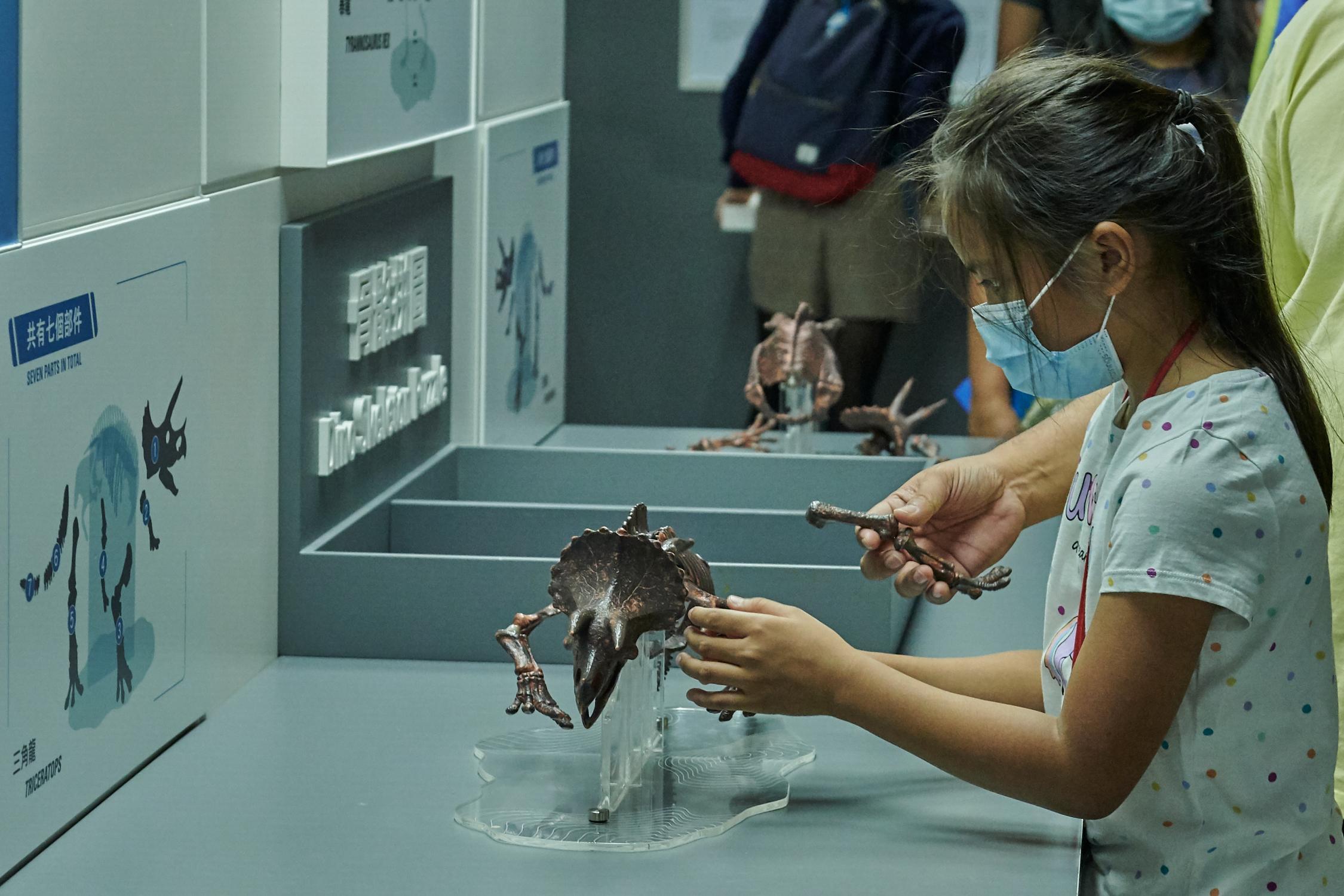 The free large-scale dinosaur exhibition "The Hong Kong Jockey Club Series: The Big Eight - Dinosaur Revelation" organised by the Hong Kong Science Museum has been receiving an overwhelming response from the public since its opening. The museum will extend the exhibition period to February 22, 2023. Picture shows a visitor carefully assembling a model skeleton of a triceratops.