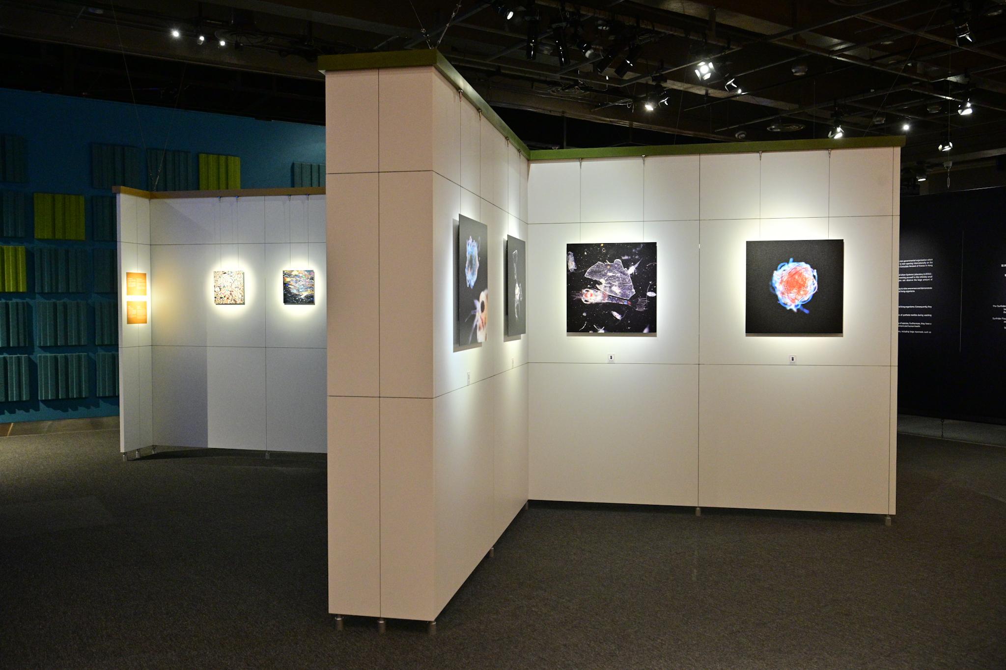 The exhibition “The Invisible Becomes Visible”, a highlight programme of French Science Festival: [BIO]diversity, will be staged at the Hong Kong Science Museum from tomorrow (November 11) to November 27. Picture shows photographs of microplastics by an artist and scientists, presenting the importance of plankton in the functioning of living organisms.