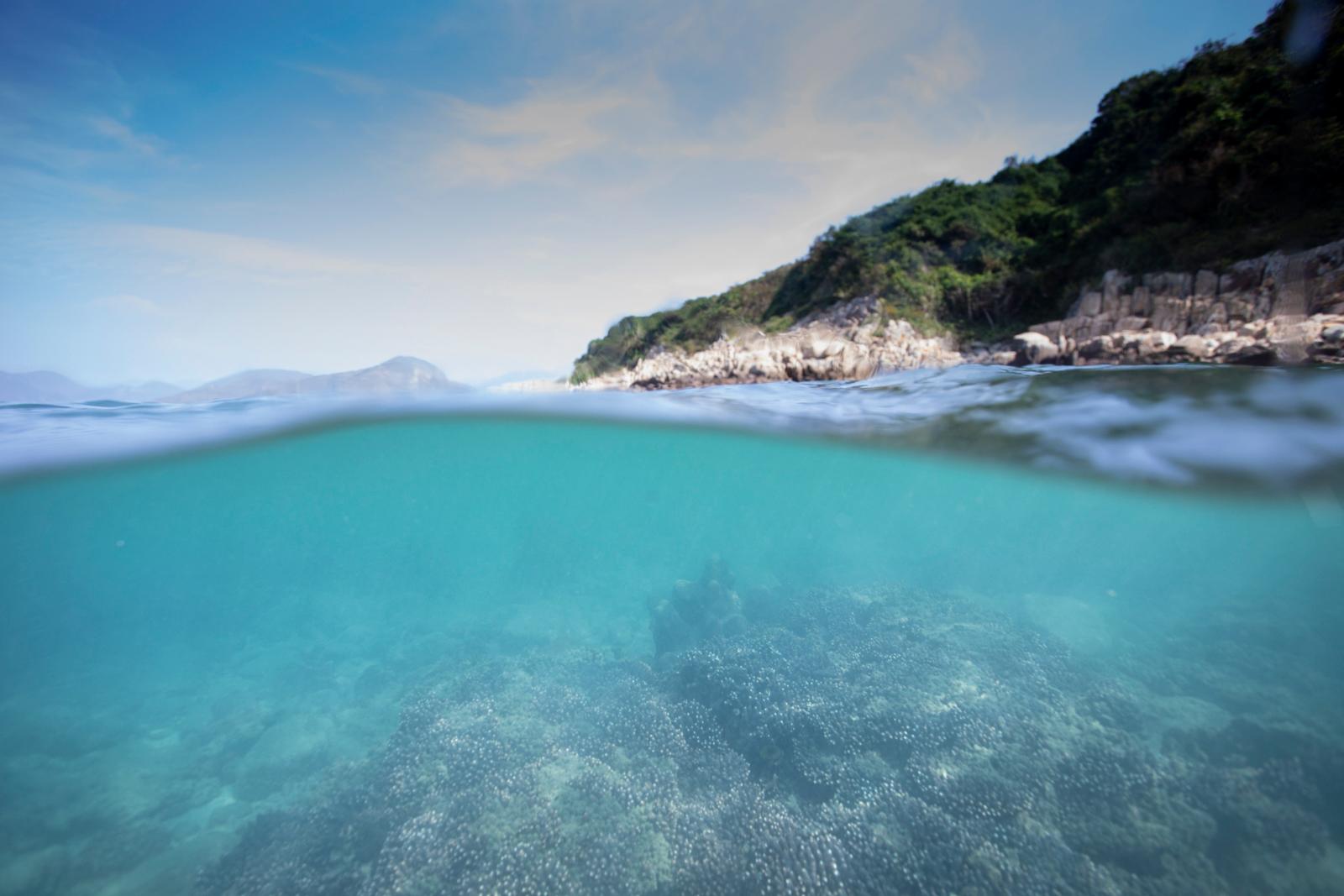 漁農自然護理署今日（十二月十日）公布今年的香港珊瑚礁普查結果，整體珊瑚健康狀況良好，物種多樣性維持於高水平。圖示攝於甕缸灣的珊瑚群落。