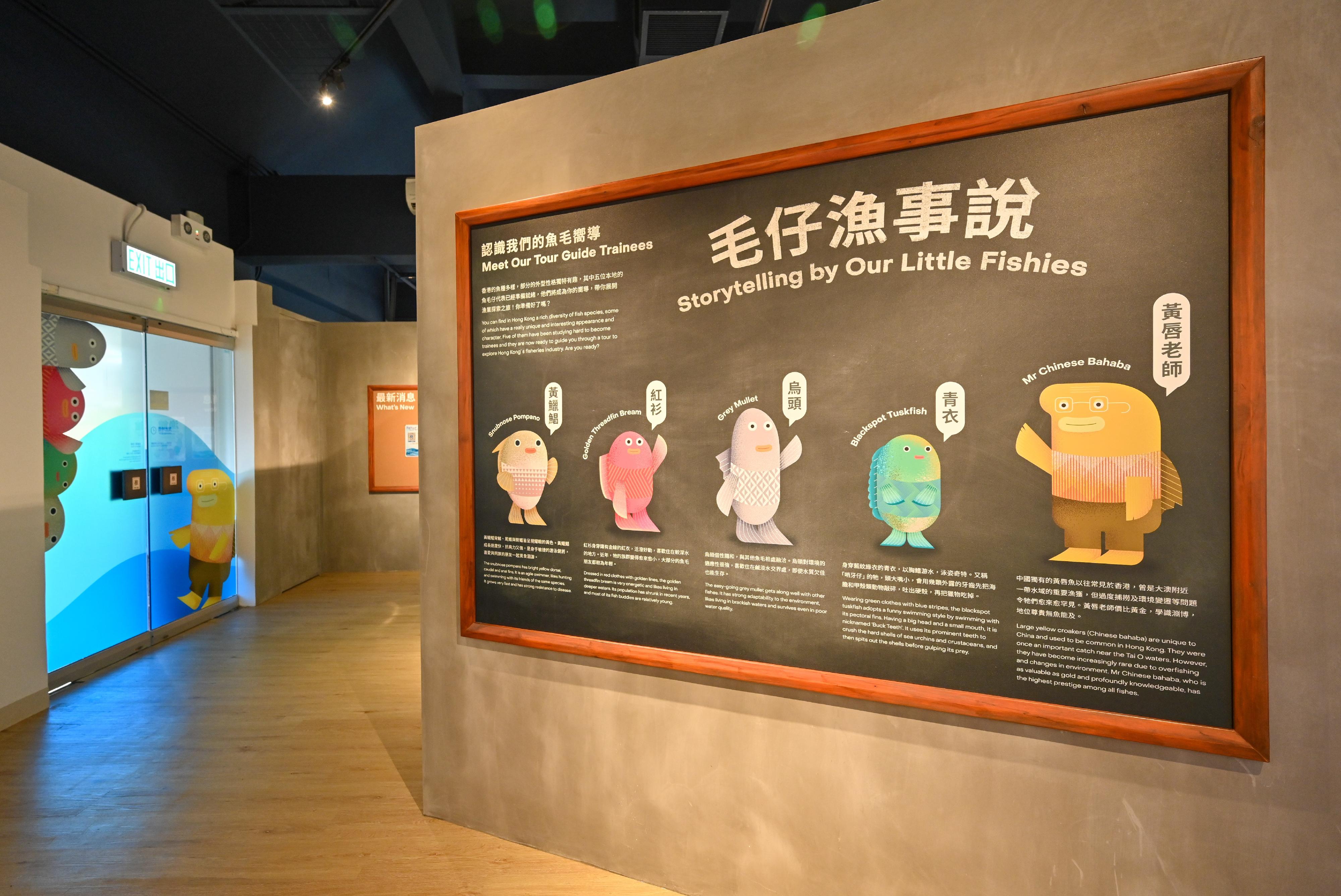 The Fisheries Hall located at the Lions Nature Education Centre at Tsiu Hang, Sai Kung, reopened today (December 16) upon completion of its revamp. Photo shows the five mascots of the Hall - (from right) Mr Chinese Bahaba, Blackspot Tuskfish, Grey Mullet, Golden Threadfin Bream and Snubnose Pompano.