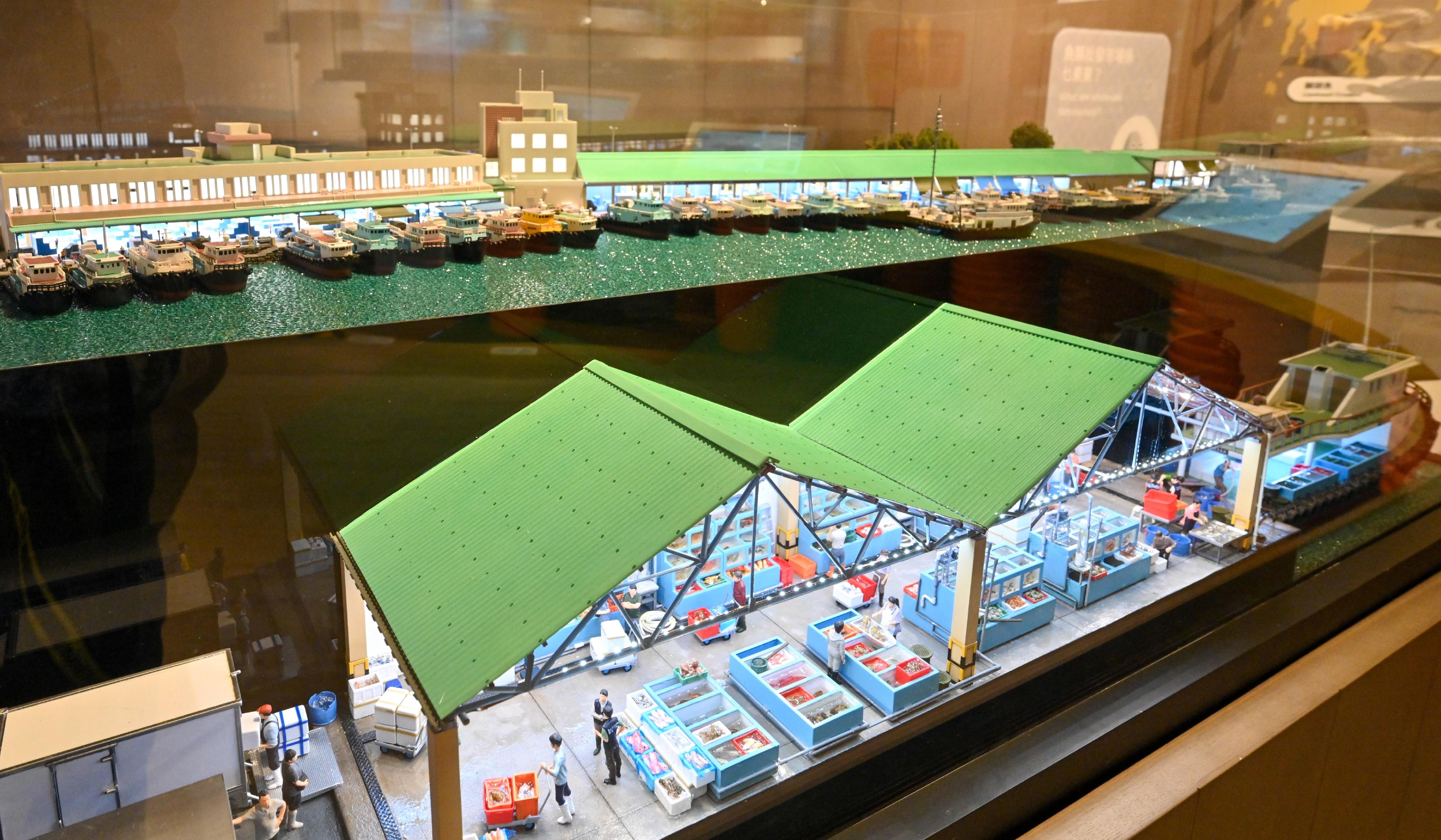 The Fisheries Hall located at the Lions Nature Education Centre at Tsiu Hang, Sai Kung, reopened today (December 16) upon completion of its revamp. Photo shows a miniature model of the Aberdeen Wholesale Fish Market.