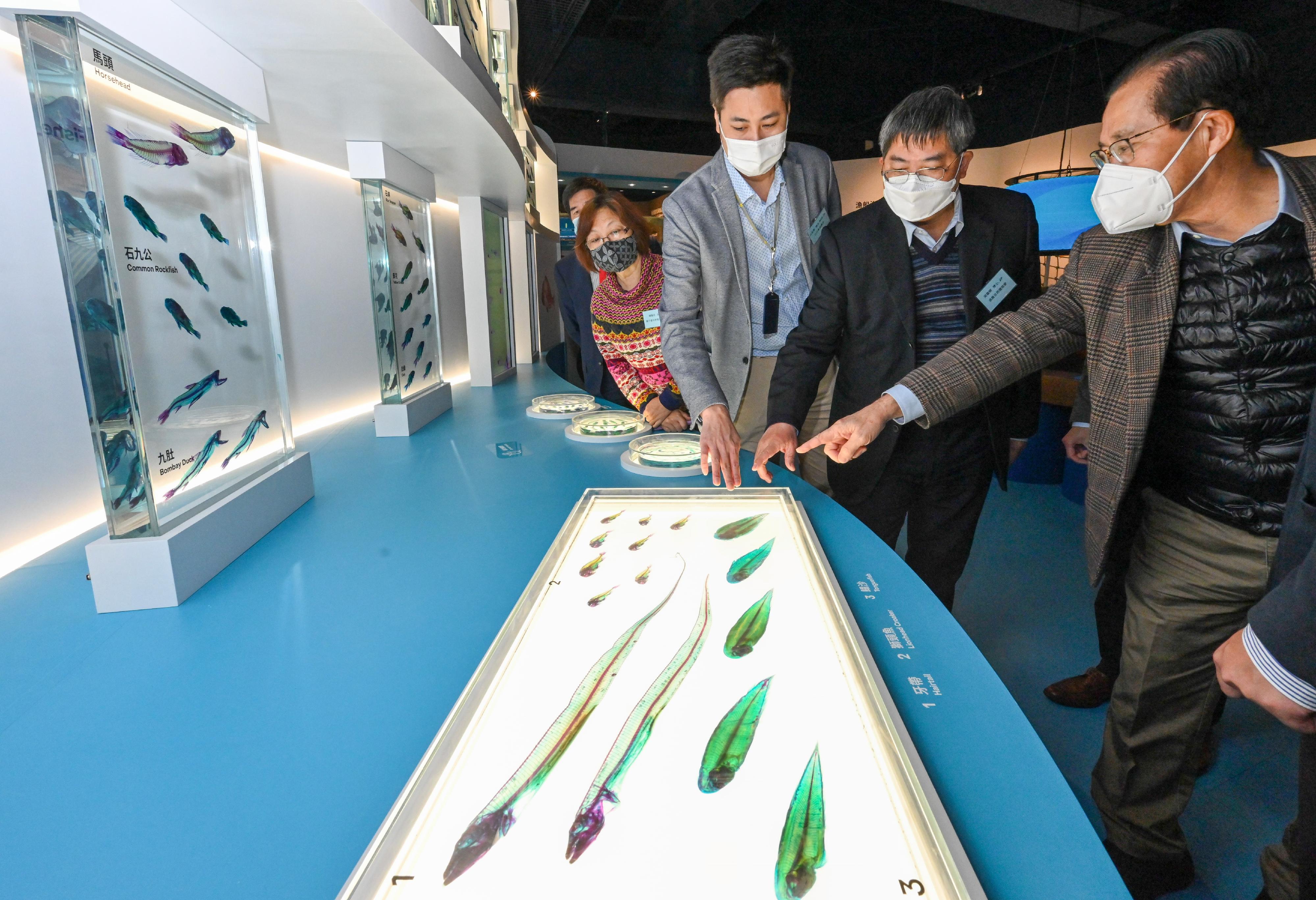 The Fisheries Hall located at the Lions Nature Education Centre at Tsiu Hang, Sai Kung, reopened today (December 16) upon completion of its revamp. Photo shows the Director of Agriculture, Fisheries and Conservation, Dr Leung Siu-fai (second right), Legislative Council Member Mr Steven Ho (third right) and other guests viewing a transparent fish specimen exhibition.