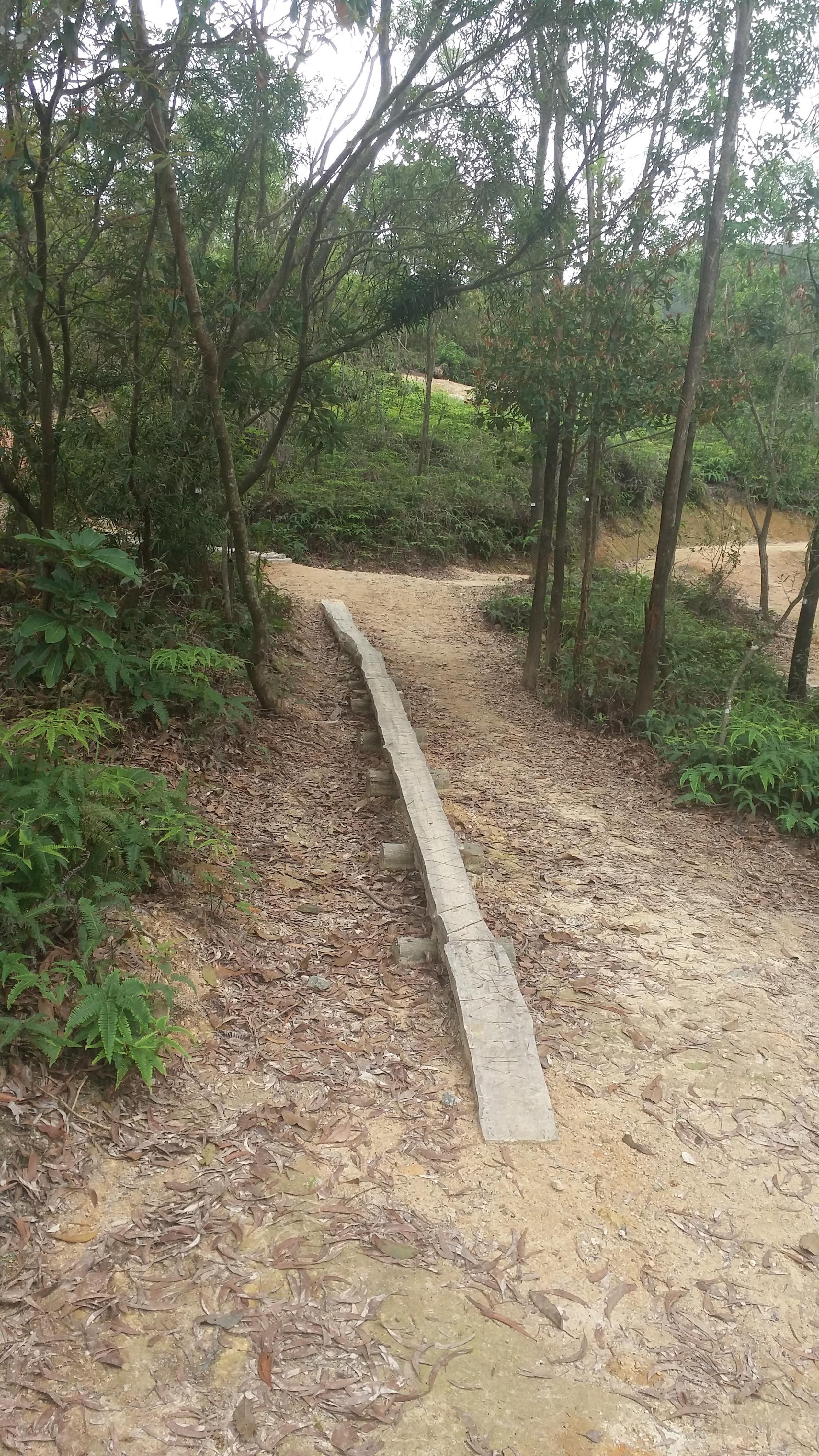 The Mui Wo Mountain Bike Practice Ground opens today (December 17). Photo shows a skinny in the practice ground.
