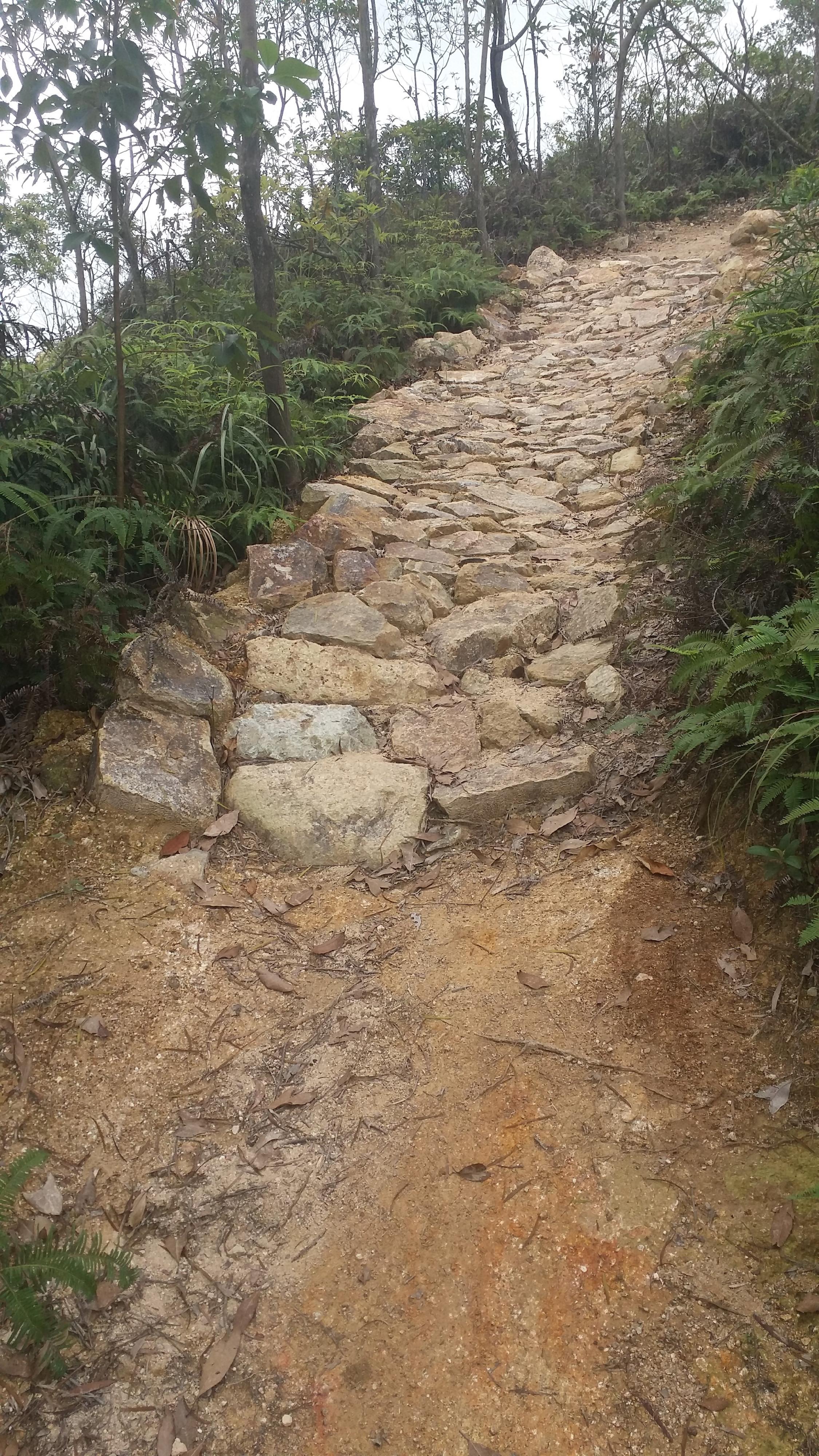 The Mui Wo Mountain Bike Practice Ground opens today (December 17). Photo shows a rock garden in the practice ground.