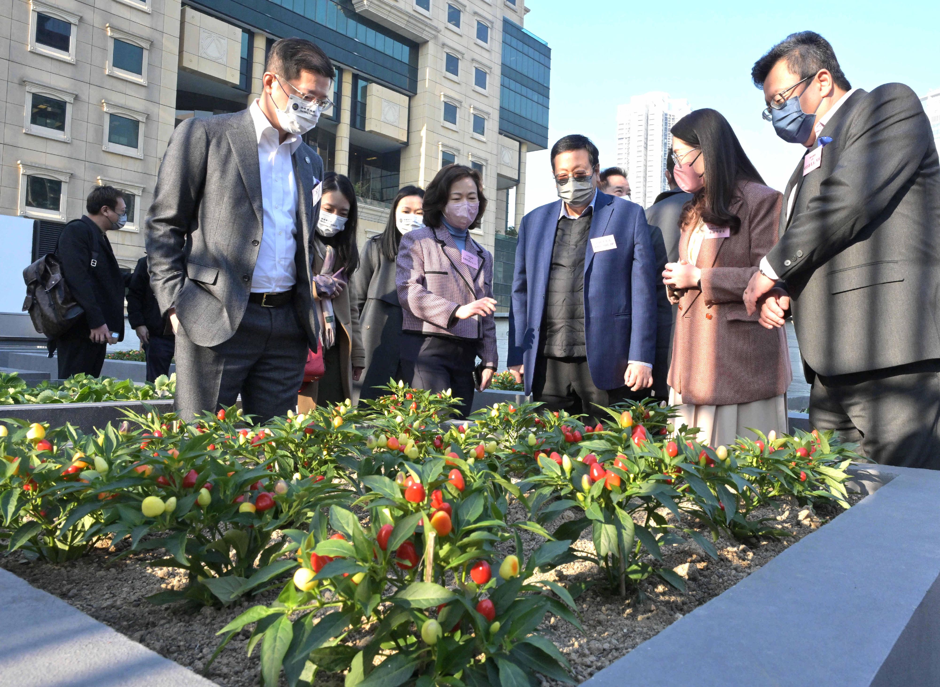 The opening ceremony for the Moreton Terrace Activities Centre under Wan Chai Signature Project Scheme was held today (December 29). Photo shows the Director of Home Affairs, Mrs Alice Cheung (second left, first row), touring the community garden cum rooftop garden with other officiating guests.