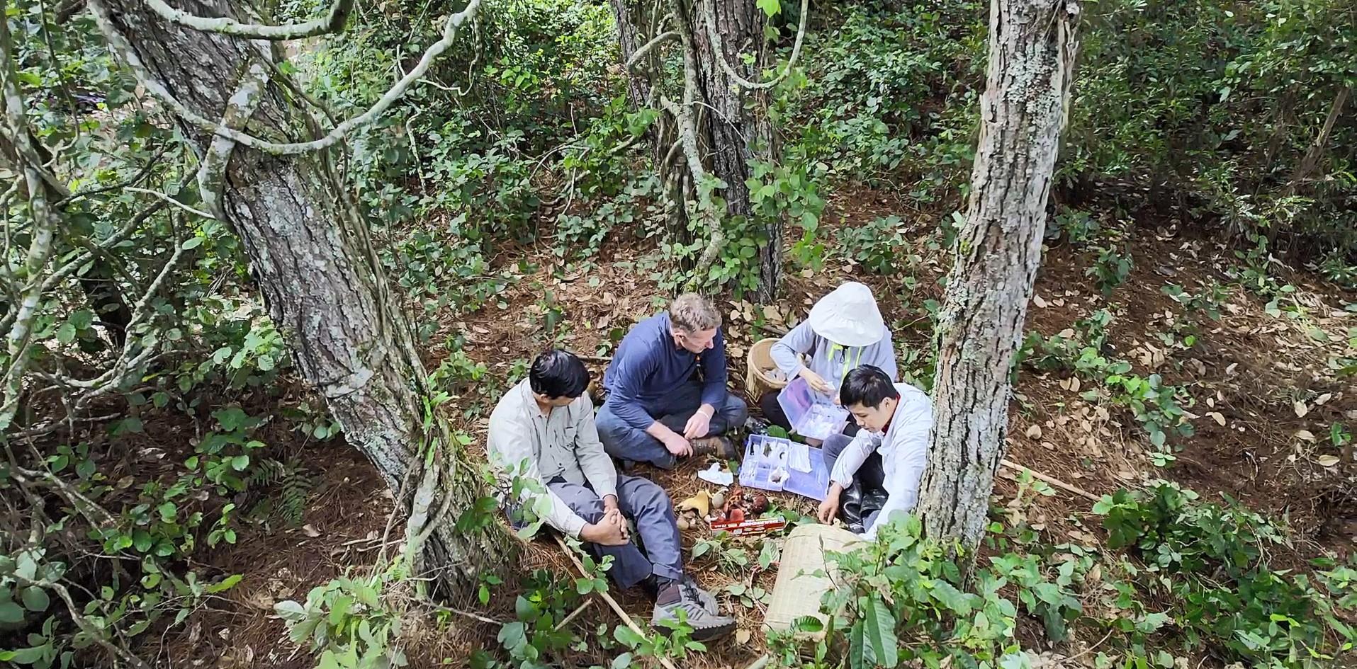 The Hong Kong Space Museum will launch a new dome show, "Nature's Hidden Kingdom", at its Space Theatre tomorrow (January 13). Picture shows scientists studying how to use fungi to break down plastic.
