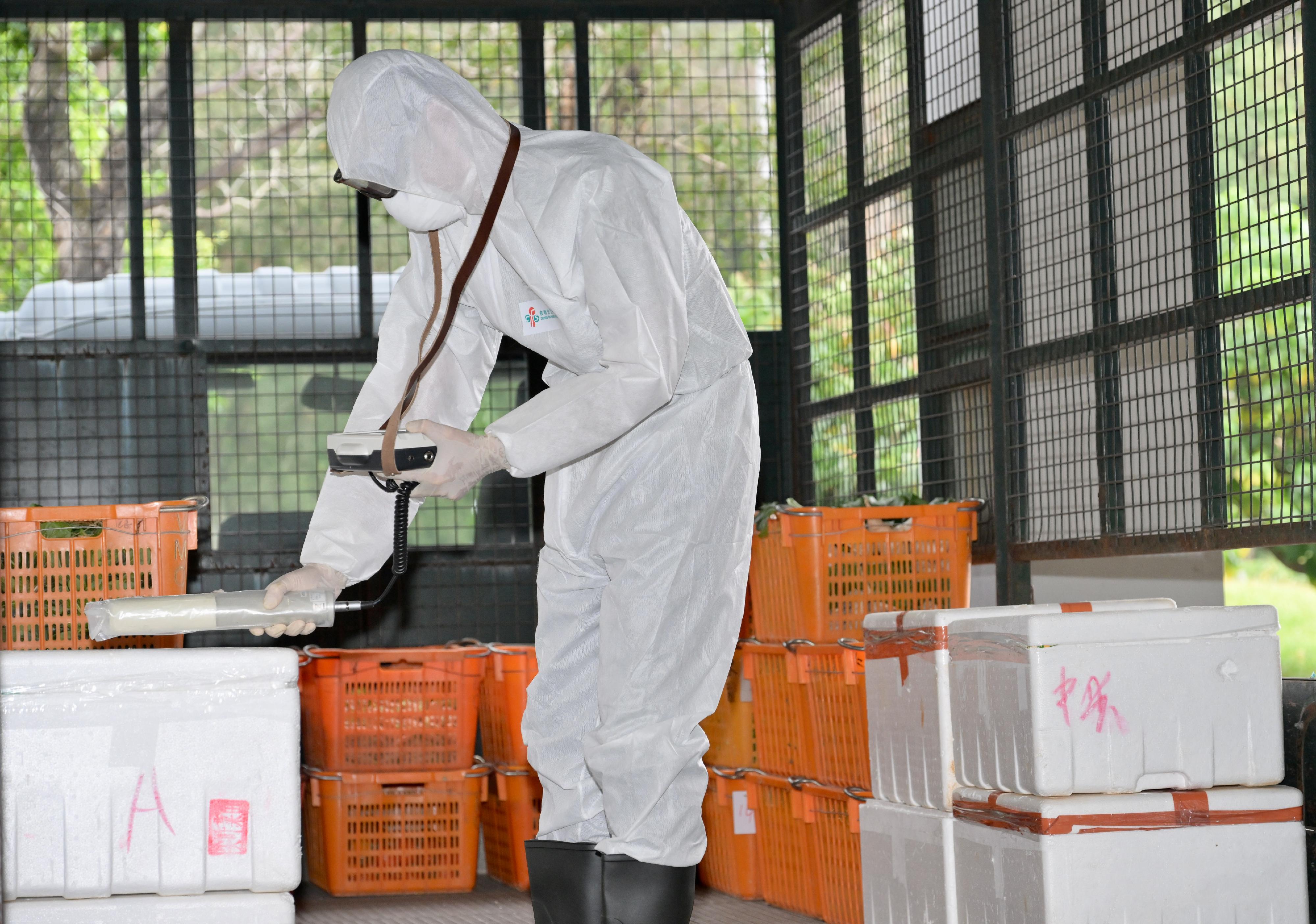 政府今日（一月十二日）進行大型跨部門演習「棋盤三」。圖示食物環境衞生署人員對內地進口食物進行輻射監測。
