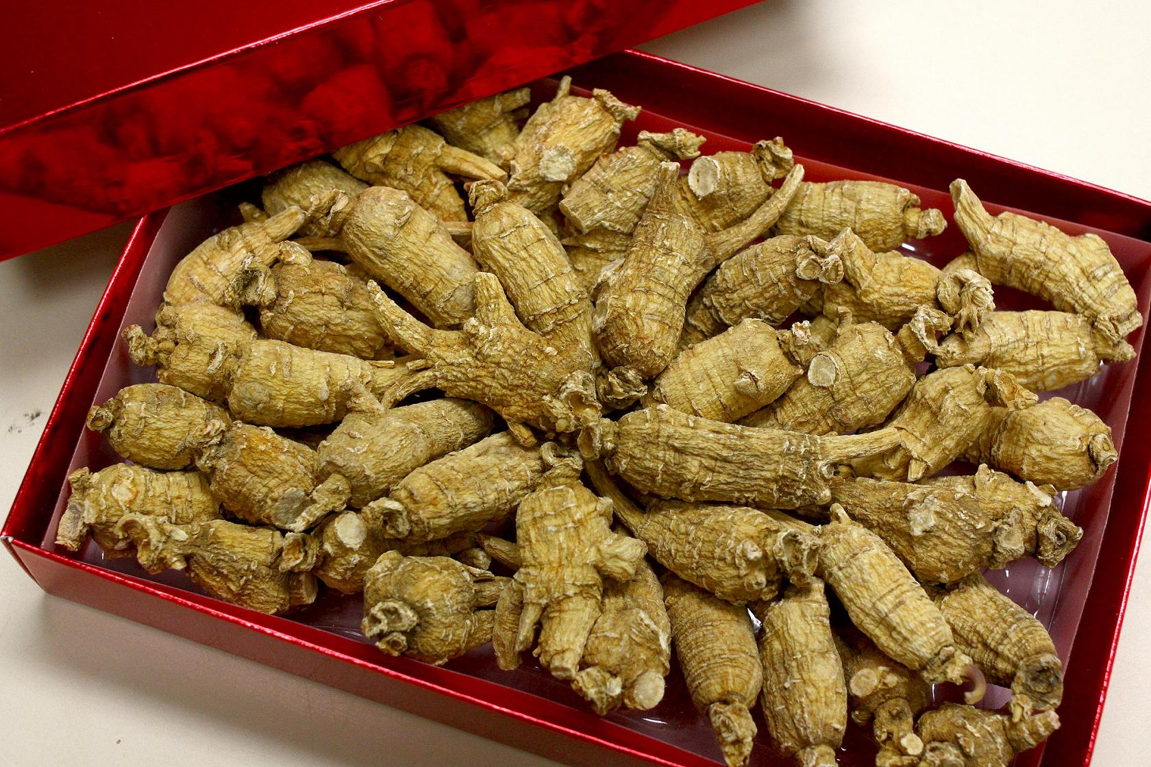 The Agriculture, Fisheries and Conservation Department today (January 16) reminded members of the public not to bring endangered species into Hong Kong without a required licence when returning from visits to other places. Photo shows American ginseng which is among the most commonly seized regulated species.