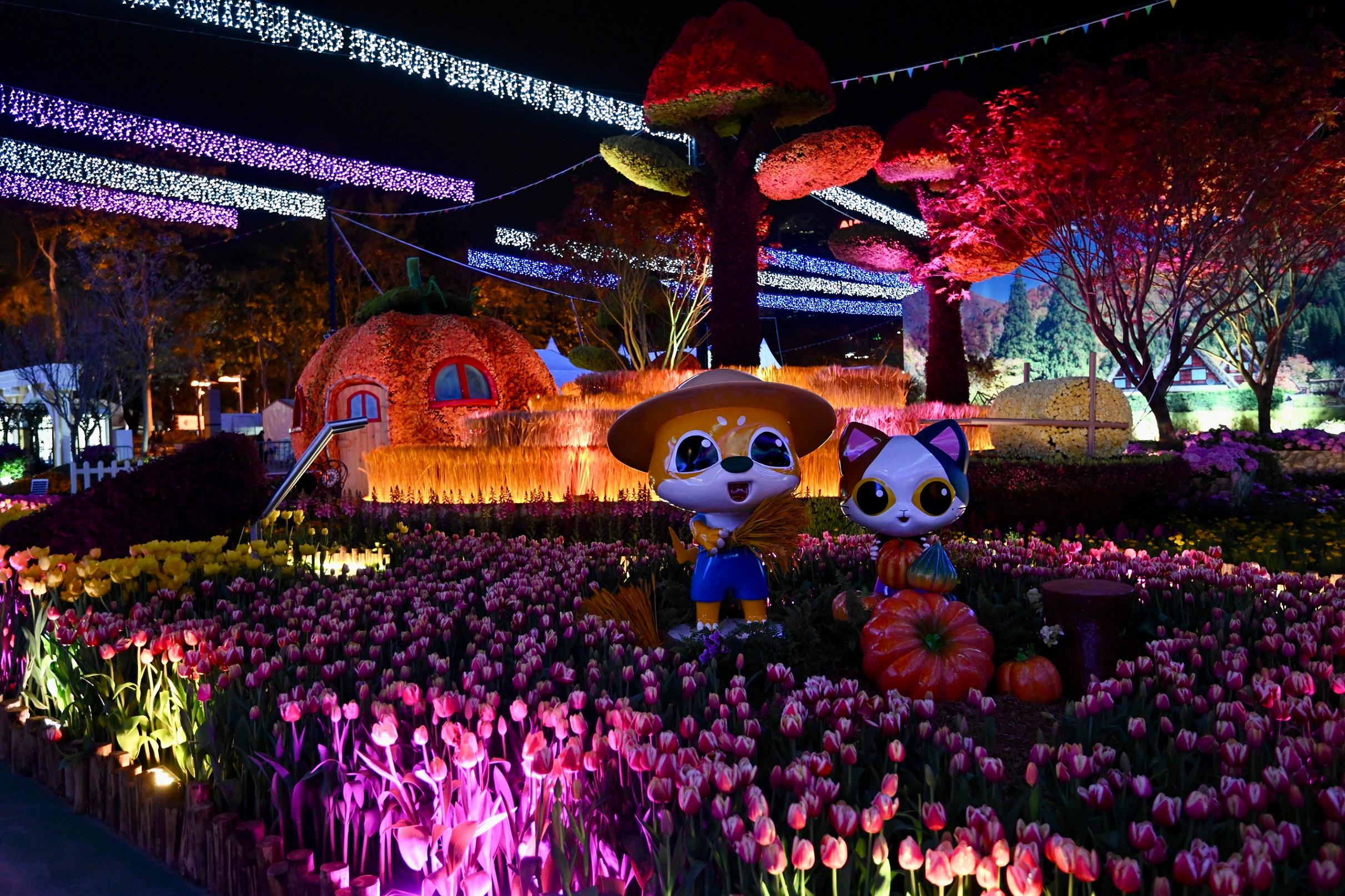 二零二三年香港花卉展覽（花展）明日（三月十日）至三月十九日在維多利亞公園舉行。今年花展的主題花是繡球花，以「繡麗綻放、幸福滿載」為主題。圖示燈光音樂匯演，會場中軸線的園林造景結合燈光和音樂效果，在夜幕下另有一番景象。