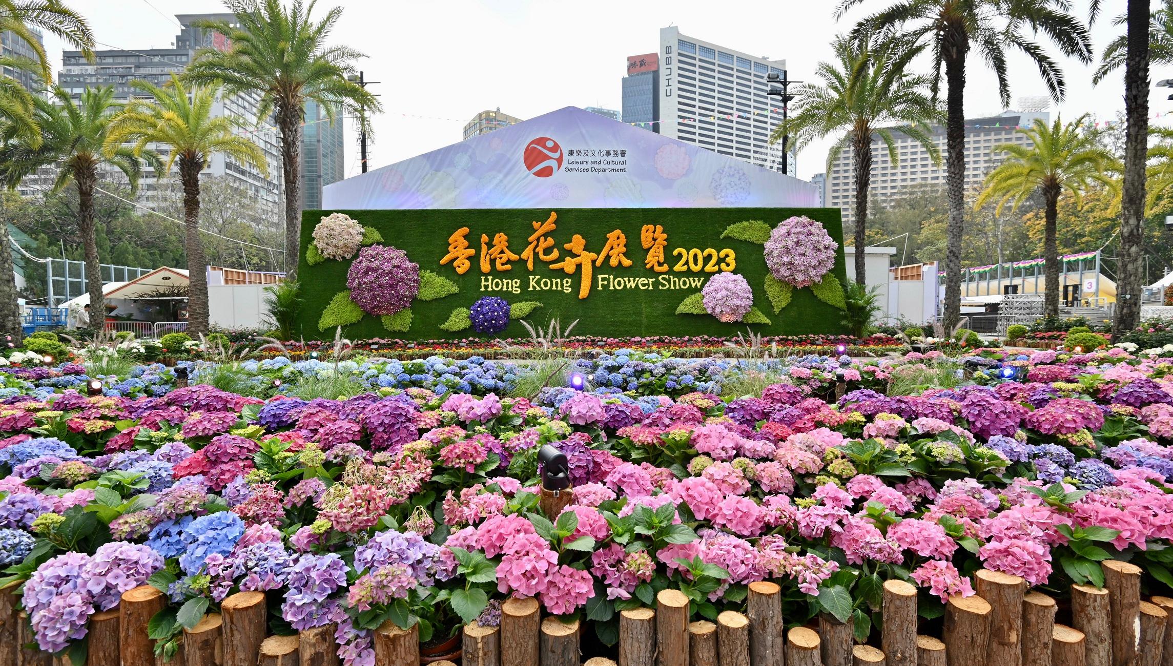 The Hong Kong Flower Show 2023 will be held at Victoria Park from tomorrow (March 10) until March 19. This year's flower show features "Bliss in Bloom" as the main theme and hydrangea as the theme flower. Photo shows an eye-catching three-dimensional hydrangea flower wall and garden, which is one of the major attractions of the flower show. The flower wall and garden comprises eight giant hydrangea models, showcasing the beauty of hydrangeas.