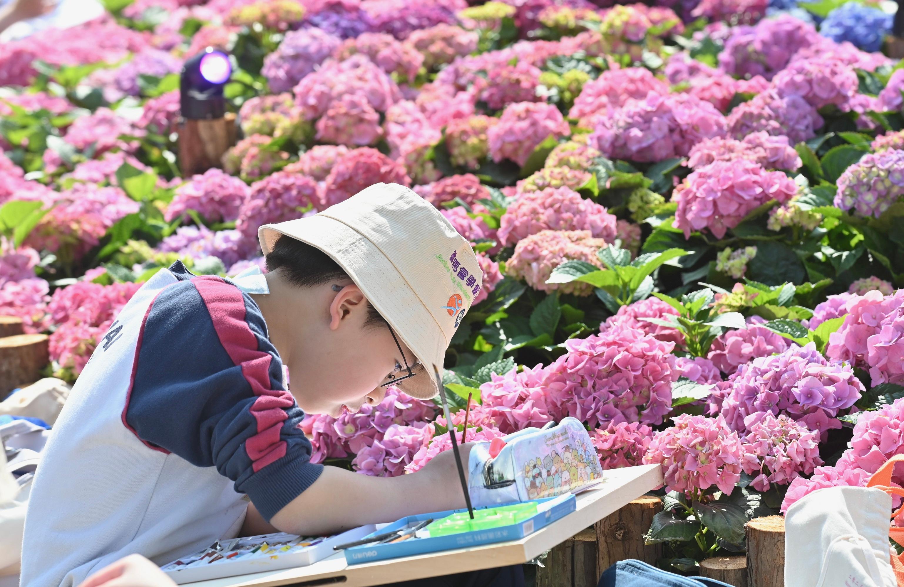 The annual spectacular Hong Kong Flower Show opened at Victoria Park today (March 10) with some 400 000 flowers on display, including about 40 000 hydrangeas as the theme flower. The Jockey Club Student Drawing Competition held today attracted the participation of about 1 600 students.