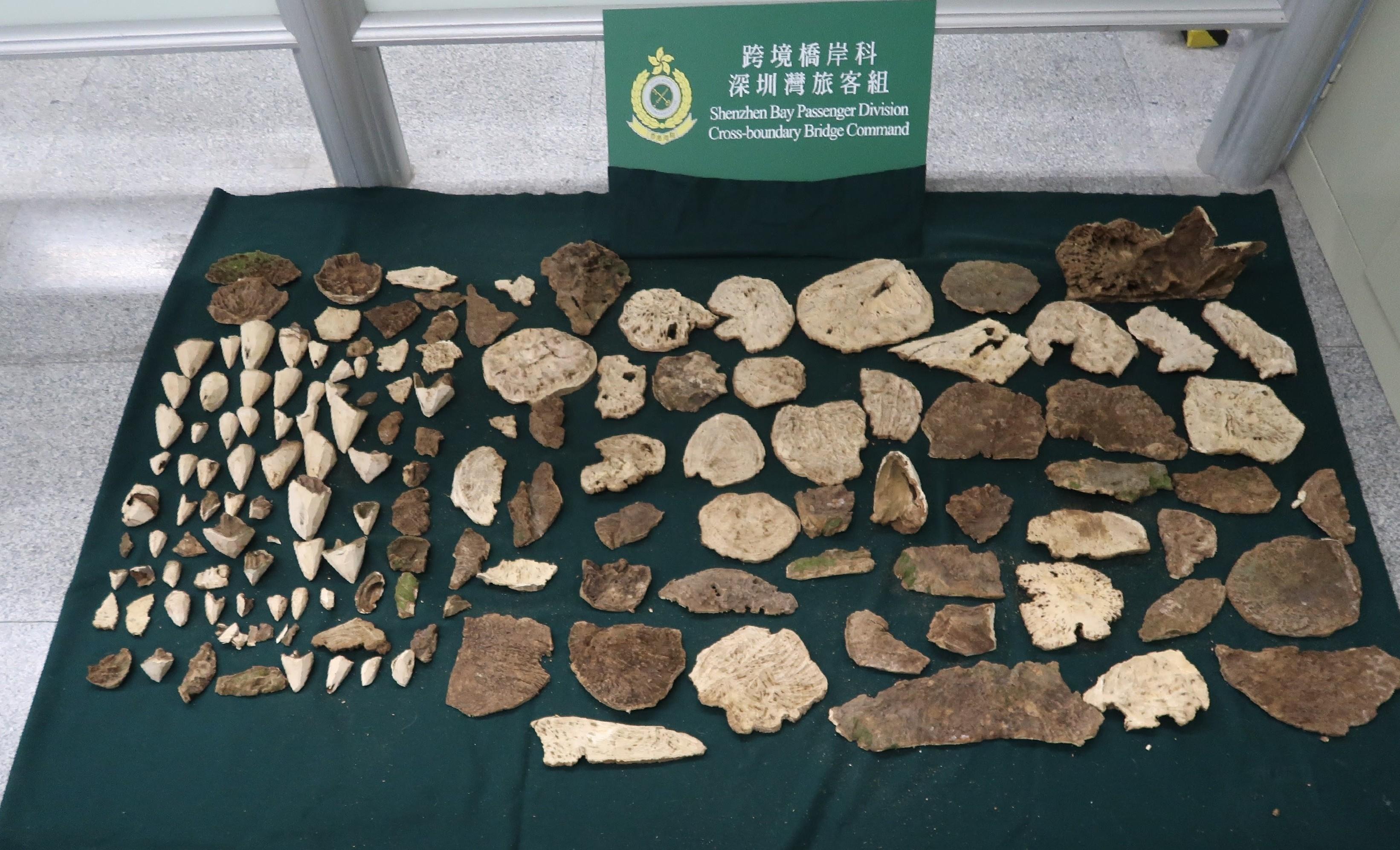 Hong Kong Customs detected two smuggling cases of suspected scheduled agarwood involving outbound passengers at the Shenzhen Bay Control Point, and seized a total of about 13.2 kilograms of suspected scheduled agarwood with an estimated market value of about $1.06 million over the past two days (March 12 and 13). Photo shows the suspected scheduled agarwood, with a total weight of about 9 kg, seized by Customs officers on March 13.