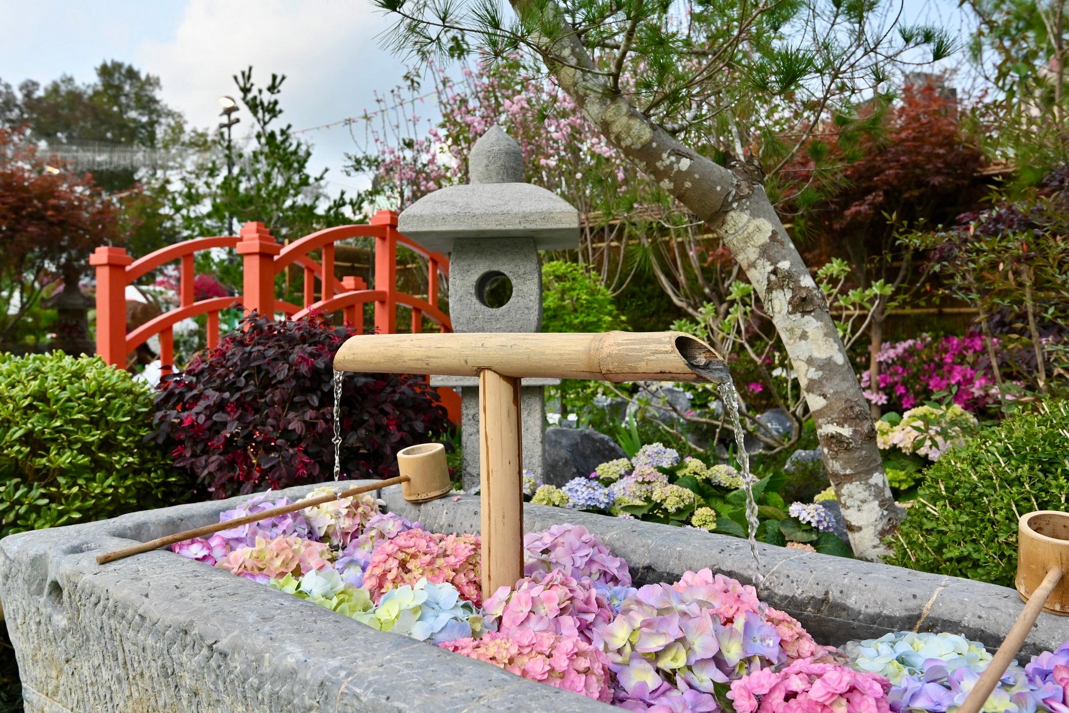 二零二三年香港花卉展覽（花展）現於維多利亞公園舉行，場內展出花展其中一項活動——十八區東方園圃及西方園圃比賽的得獎作品。圖示東方園圃環保優勝獎：東區的「我的庭園」。