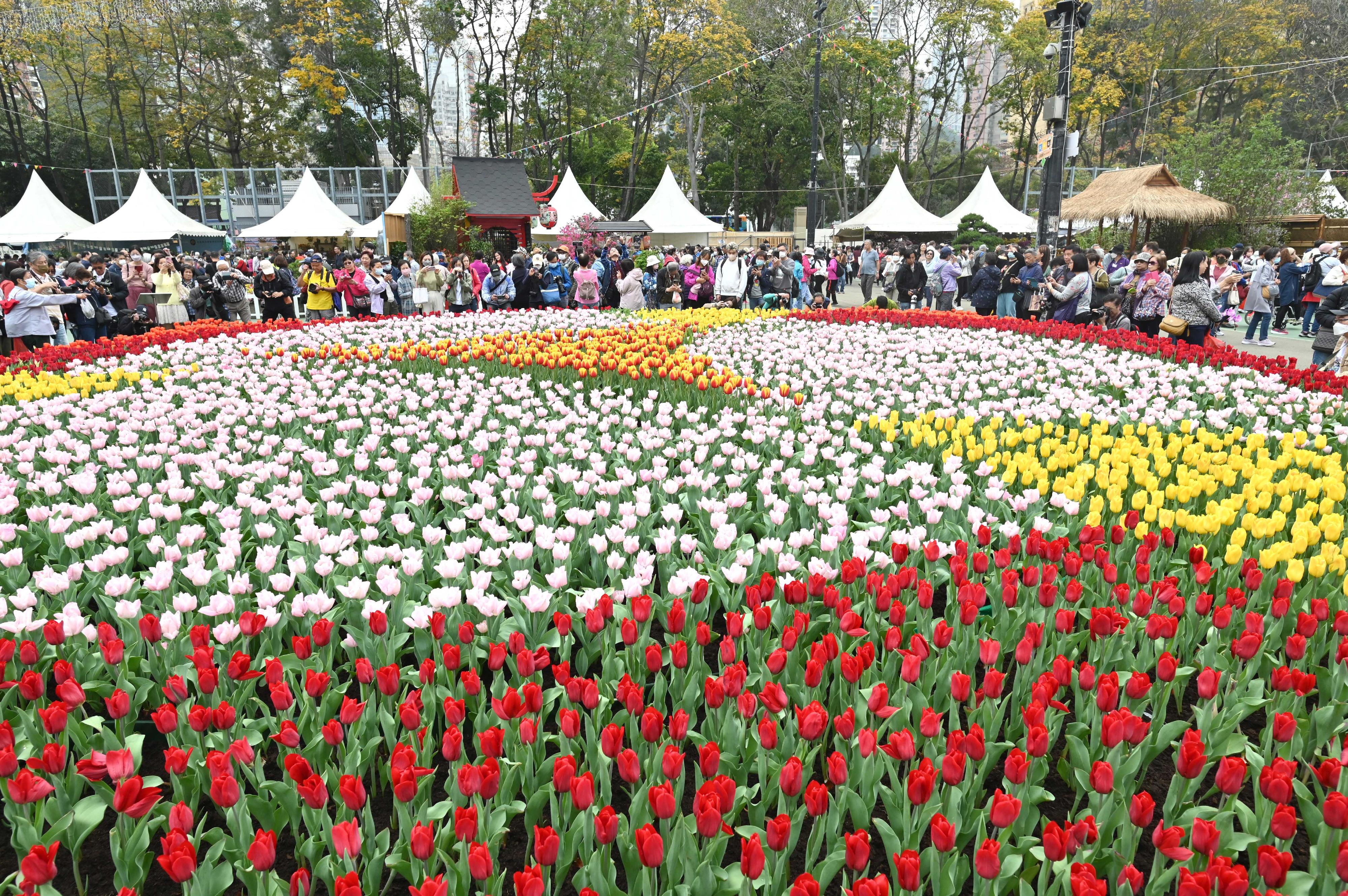 二零二三年香港花卉展覽早前閉幕，其中一項活動——「繡麗綻放、幸福滿載」攝影比賽將於四月十一日截止收件。