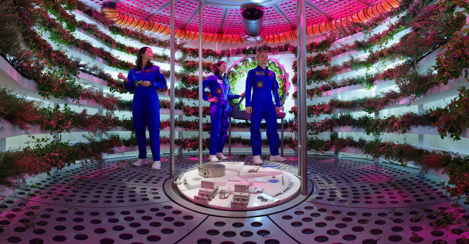 香港太空馆天象厅五月一日起放映全新天象节目《火星千日行》，让观众踏上虚拟旅程，跟随太空人展开为期1,001日的首次载人登陆火星虚构任务，一同探索这红色行星。图示节目中飞船上的水耕种植系统，是太空人重要的粮食来源。（图片来源：© Mirage3D）