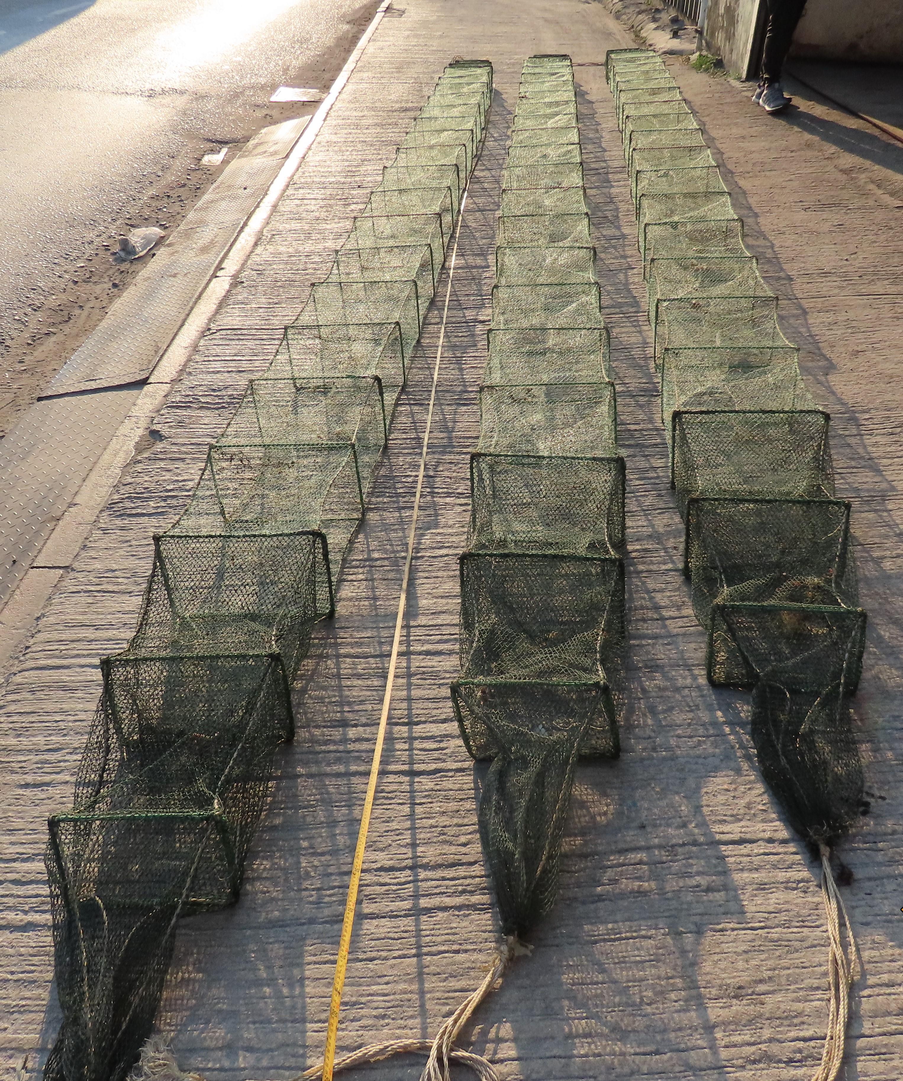 Five Mainland fishermen deckhands engaged in fishing using snake cages (a type of cage traps that has been banned in Hong Kong waters) earlier in waters near Shek Pik in southern Hong Kong, and a local coxswain on board were charged with breaching the Fisheries Protection Ordinance (Cap. 171) and convicted today (July 19). Photo shows some of the seized snake cages.