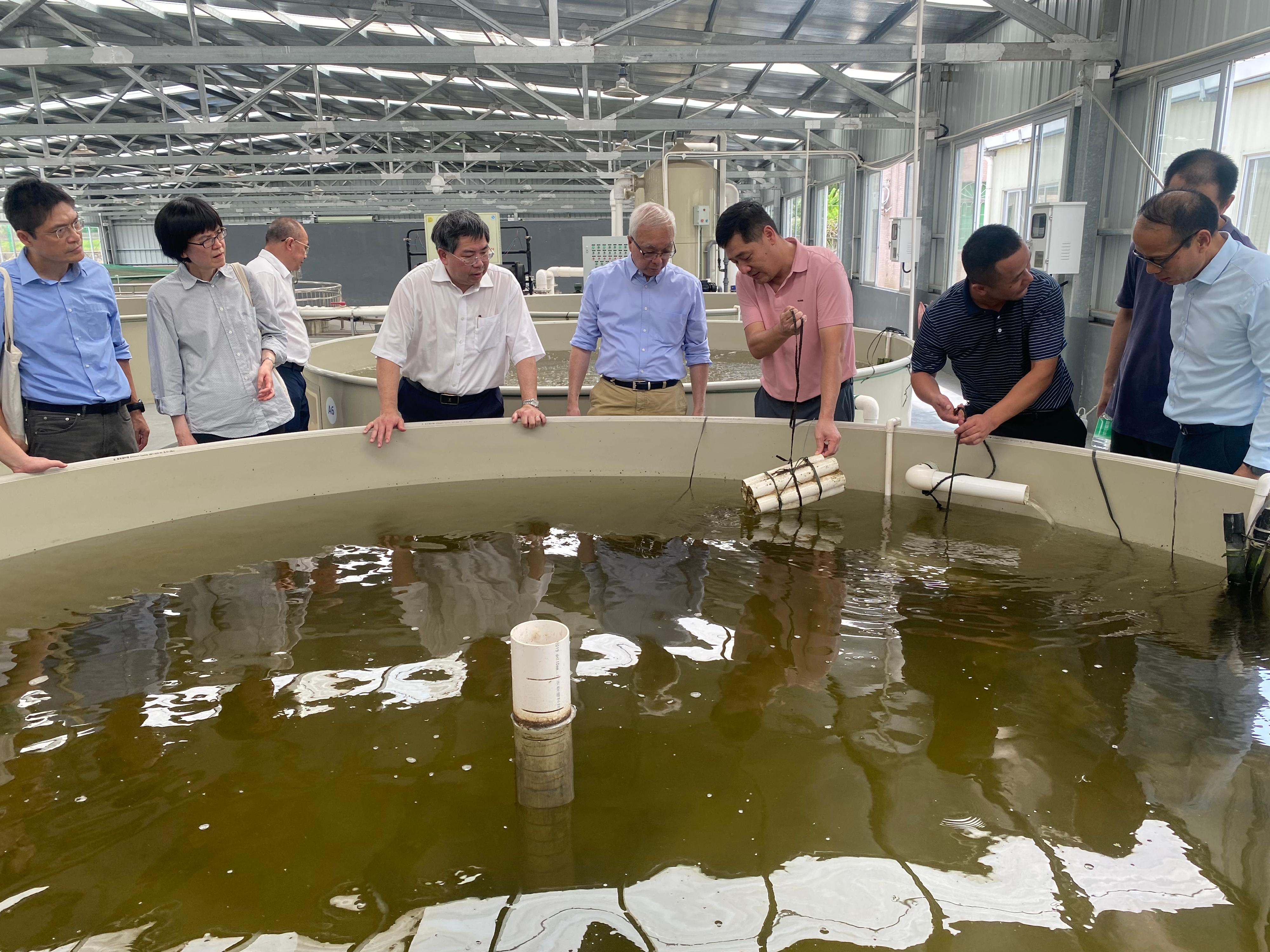 The Secretary for Environment and Ecology, Mr Tse Chin-wan, visited the Guangdong International Fishery High Tech Park yesterday afternoon (July 19). Photo shows Mr Tse (fifth right); the Permanent Secretary for Environment and Ecology (Food), Miss Vivian Lau (second left); and the Director of Agriculture, Fisheries and Conservation, Dr Leung Siu-fai (sixth right), receiving a briefing from a representative on the farming system adopted in the Park.